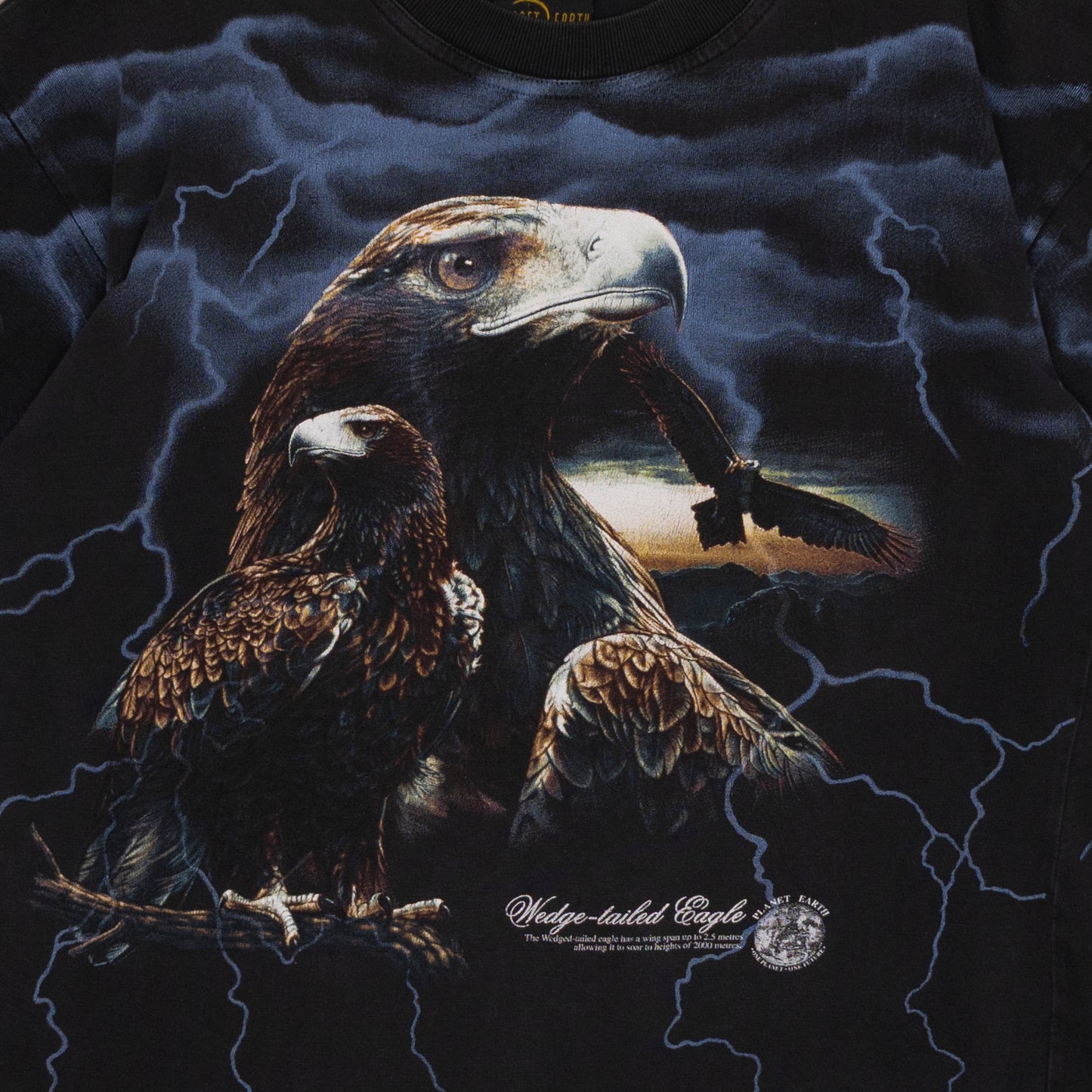 Wedge-Tailed Eagle T Shirt, L