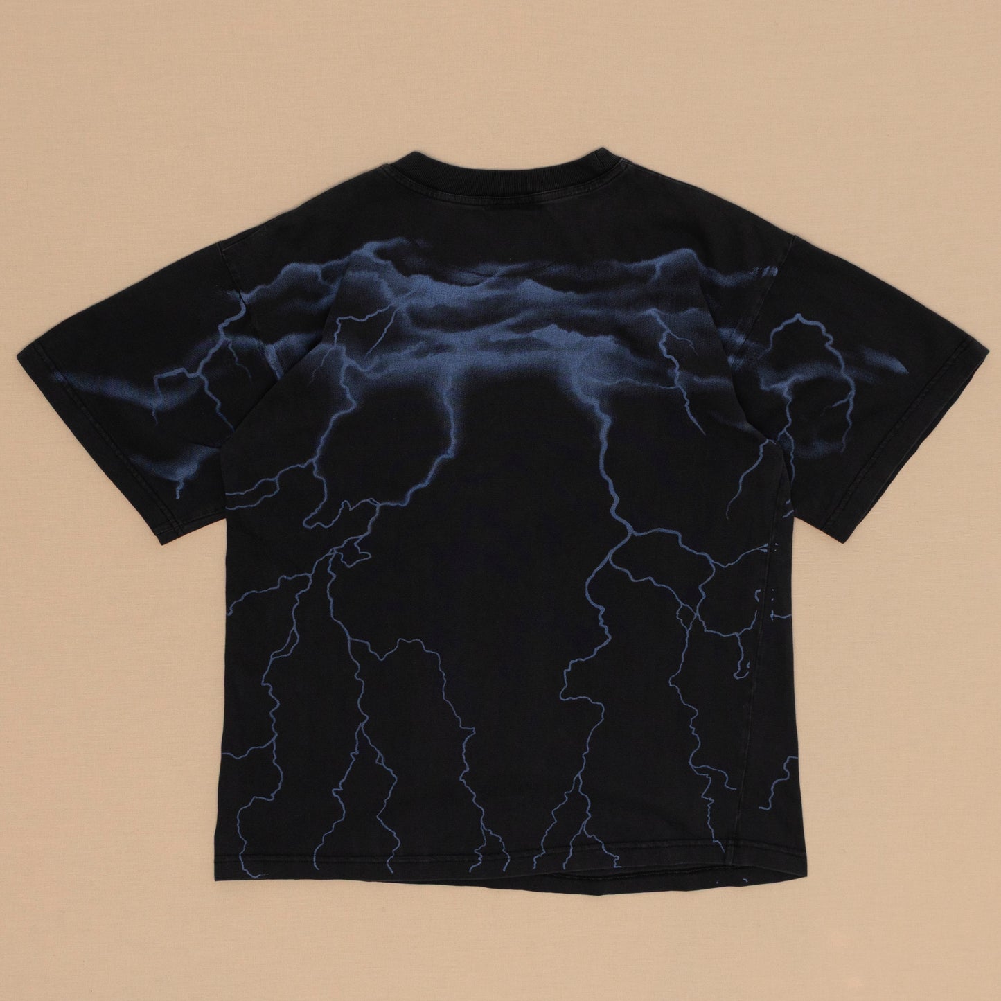 Wedge-Tailed Eagle T Shirt, L