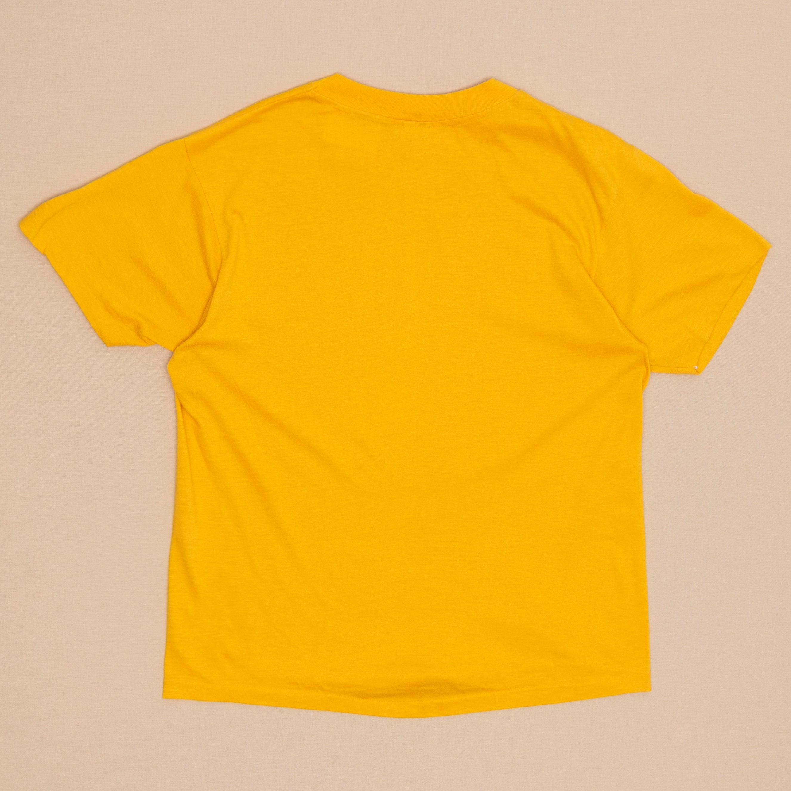 80s Asui Programs T Shirt, M