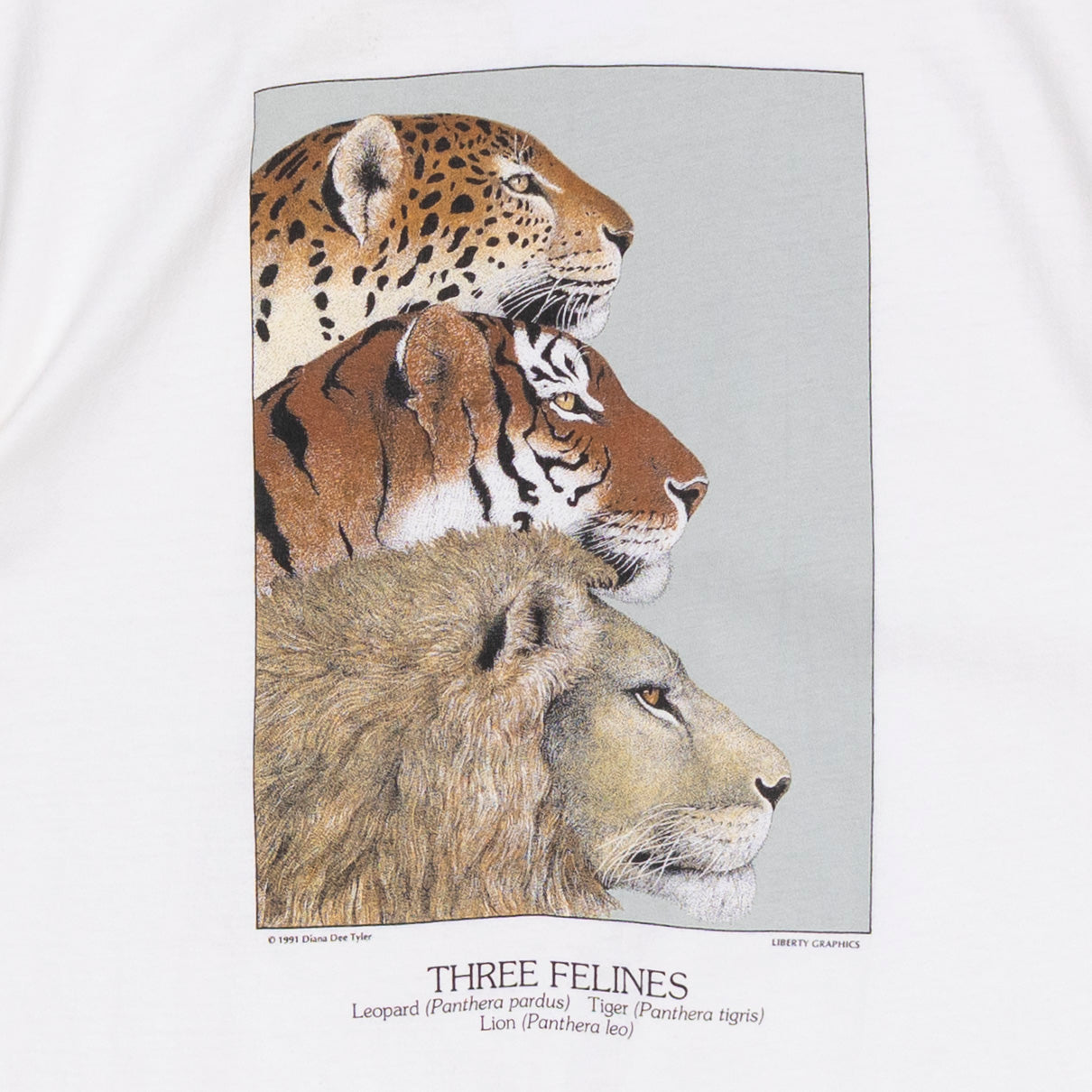 Three Felines T Shirt, L