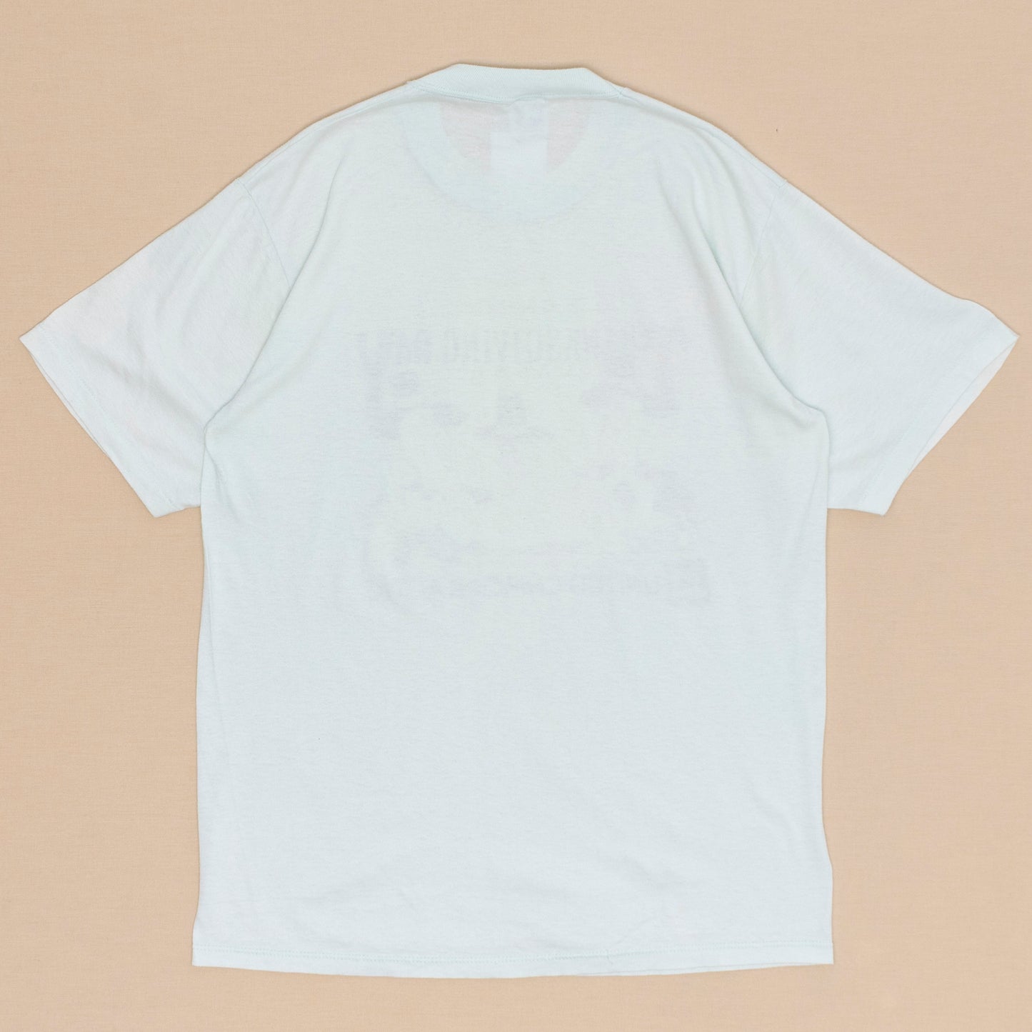 Thanksgiving T Shirt, L