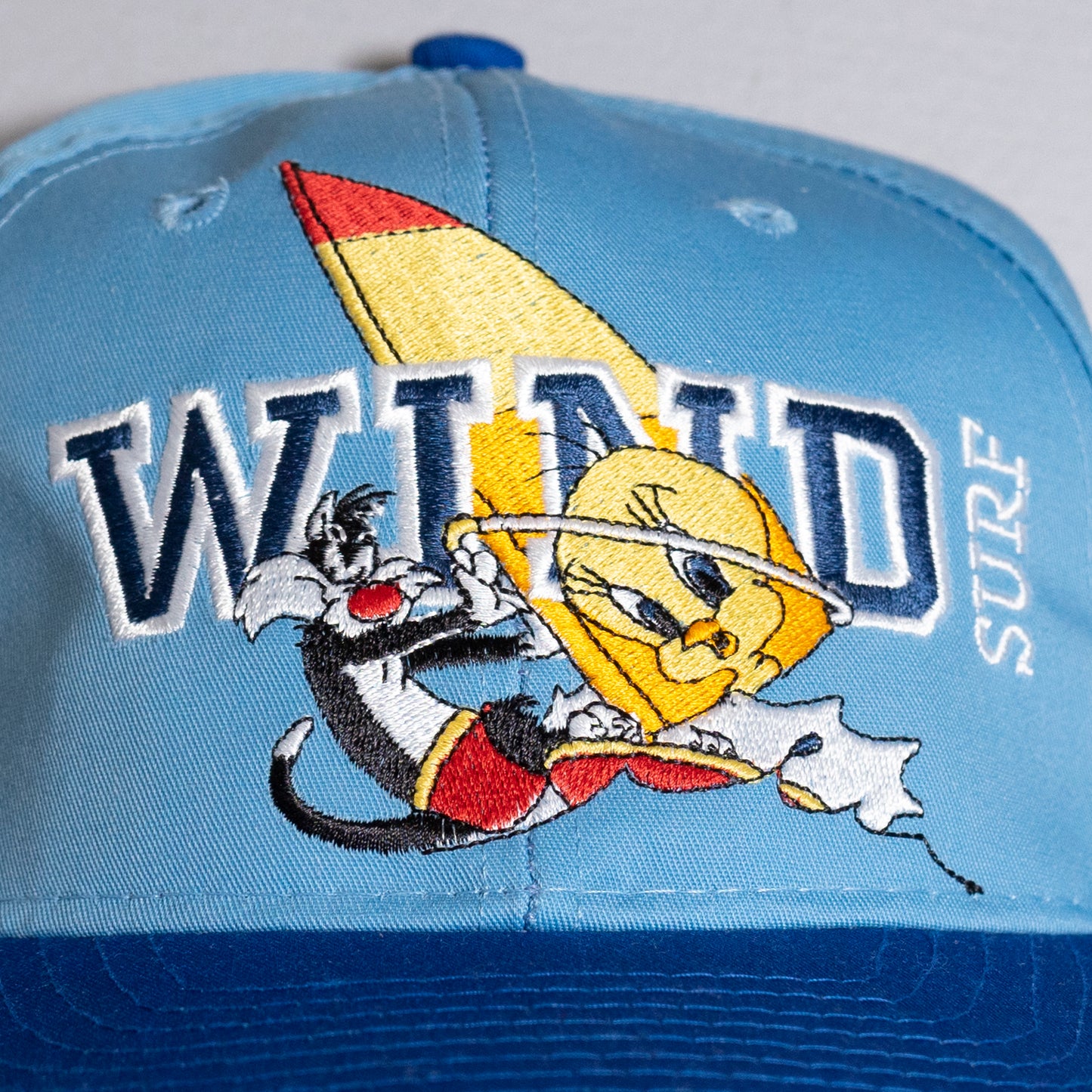 Windsurfing Tweety Cap