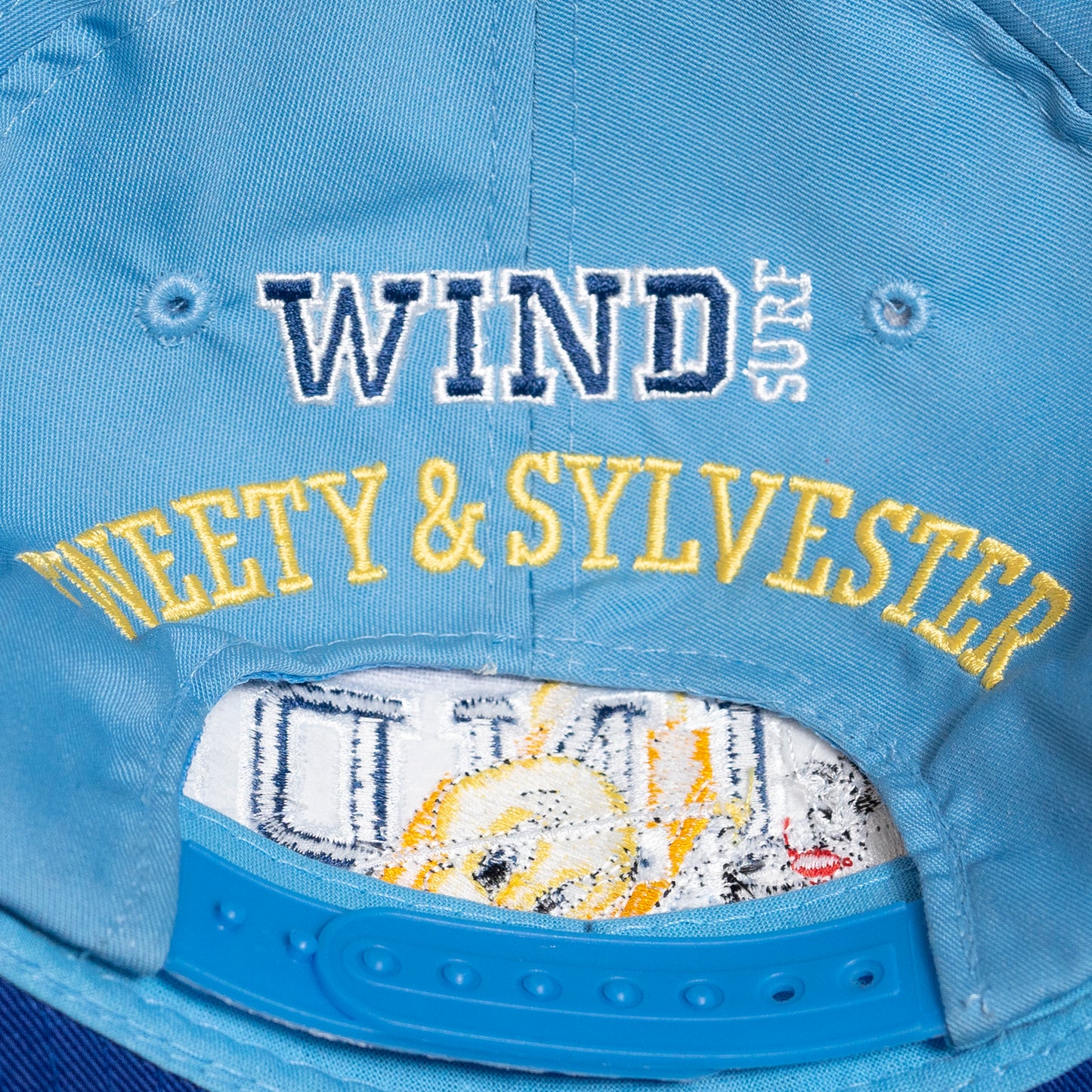 Windsurfing Tweety Cap