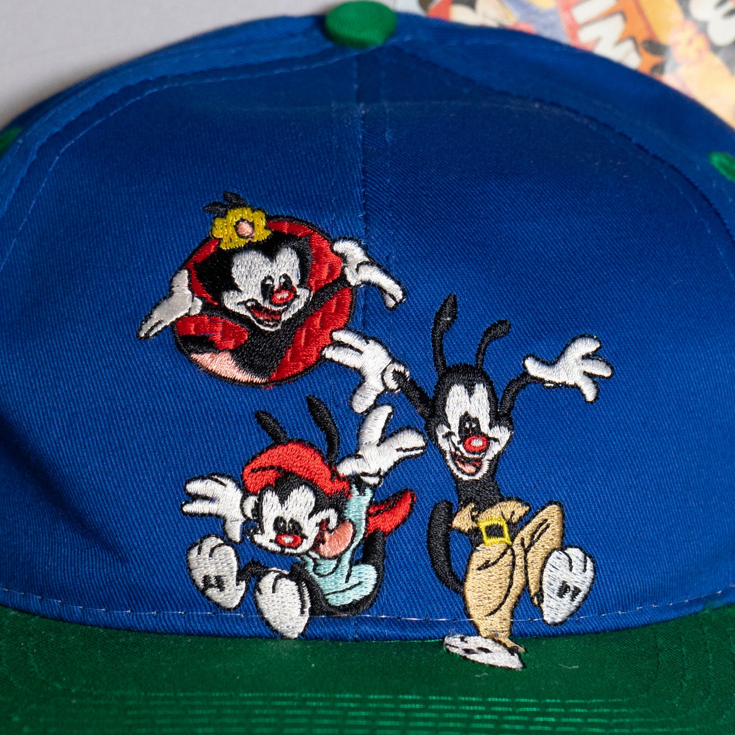 Animaniacs Blue & Green Cap