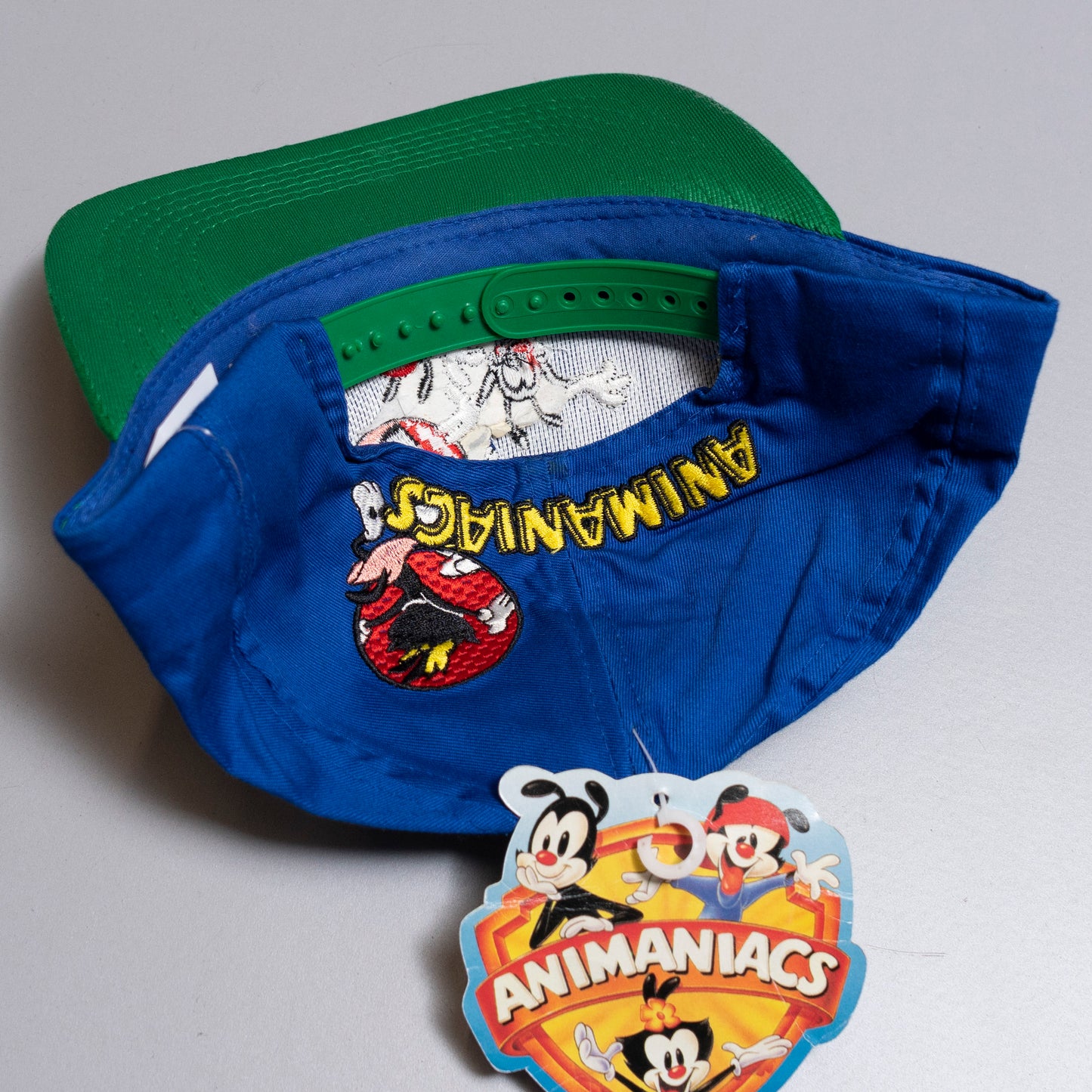 Animaniacs Blue & Green Cap