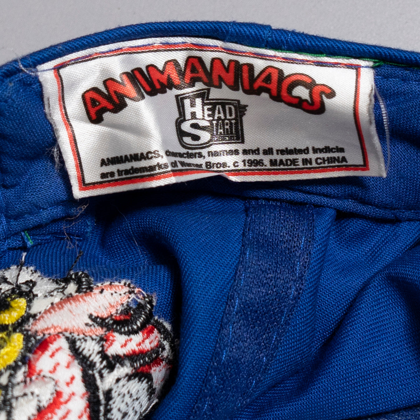 Animaniacs Blue & Green Cap