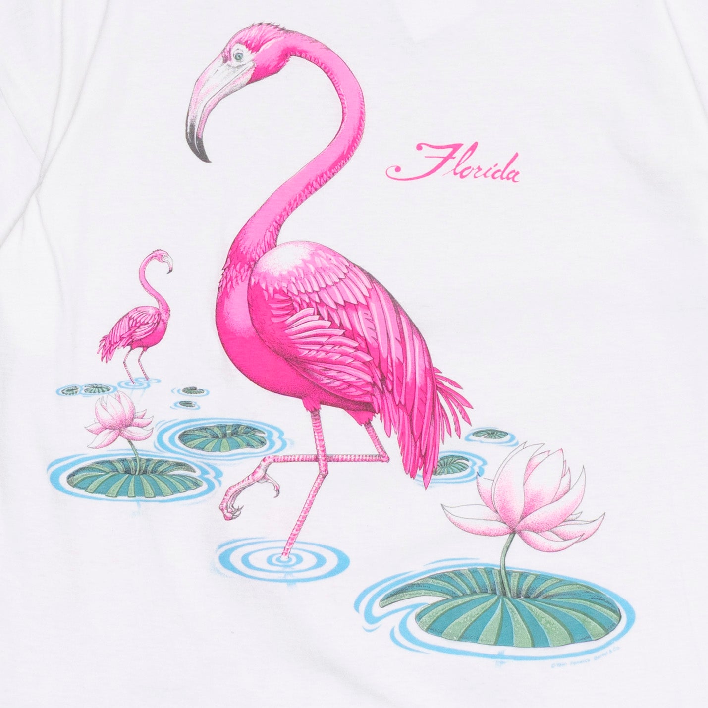 Flamingo T Shirt, L