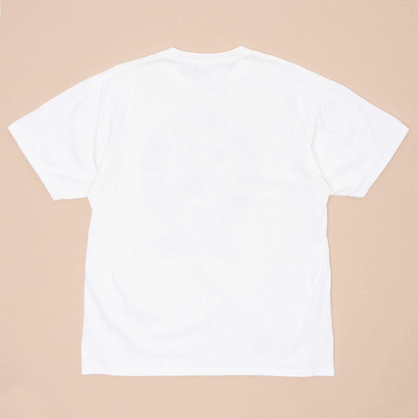 Epcot Center Flag T Shirt, XL