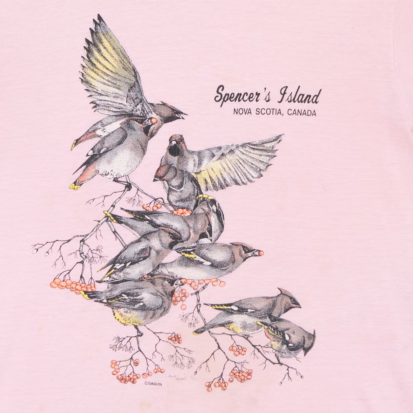 Spencer's Island Souvenir T Shirt, S