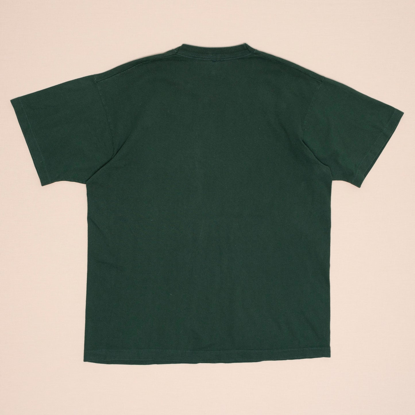 Niagara Falls Souvenir T Shirt, XL