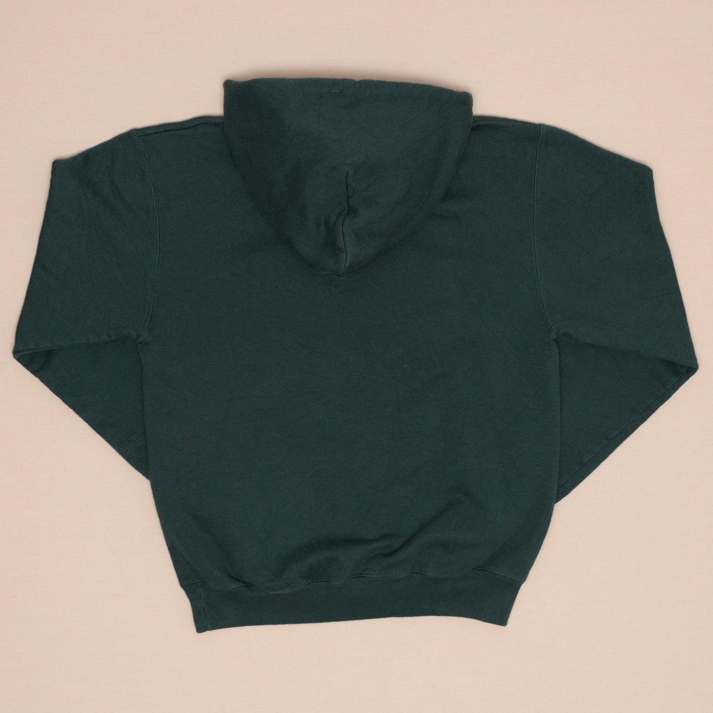Felician College Hoodie, S