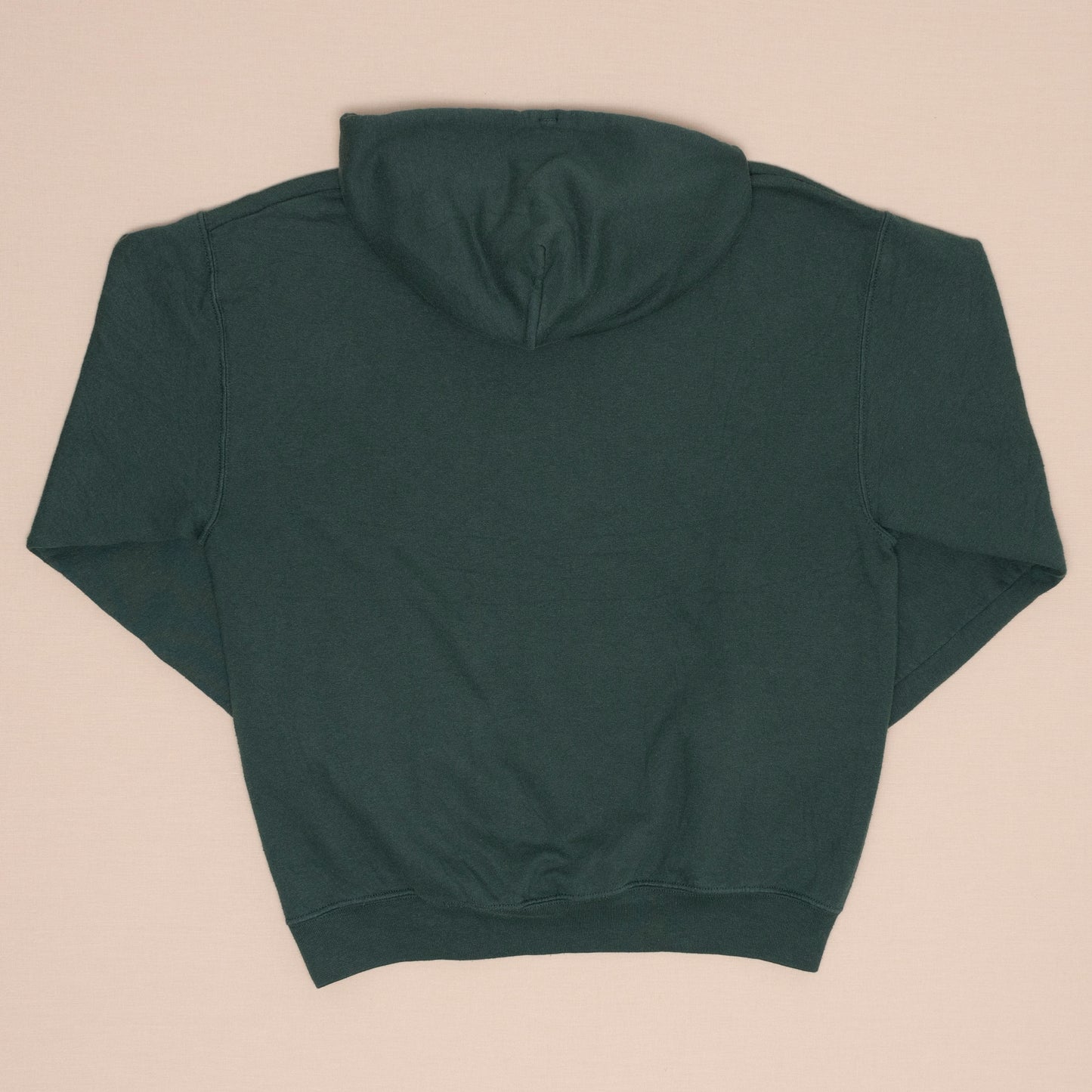 Plymouth State Hoodie, M