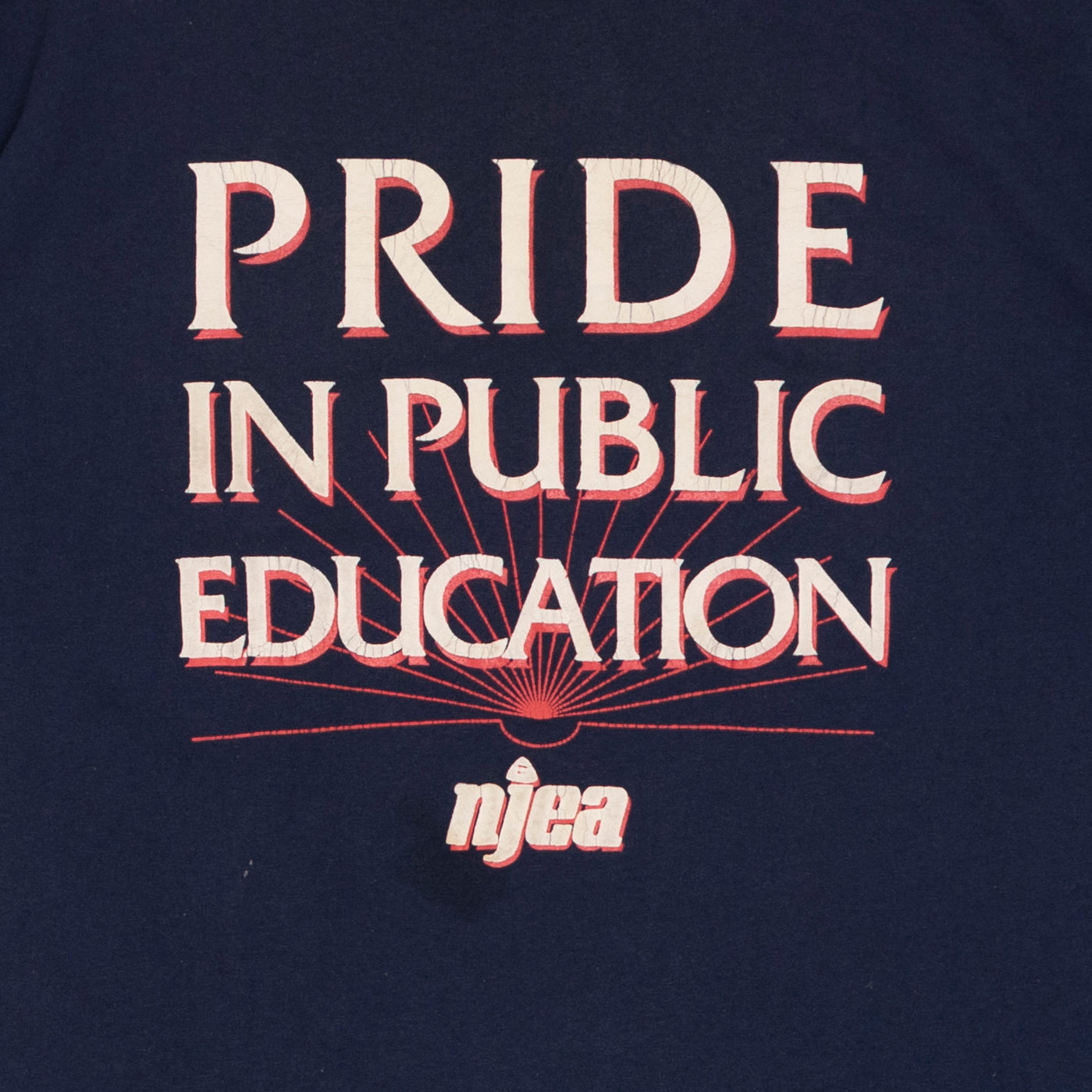Public Education T Shirt, XL