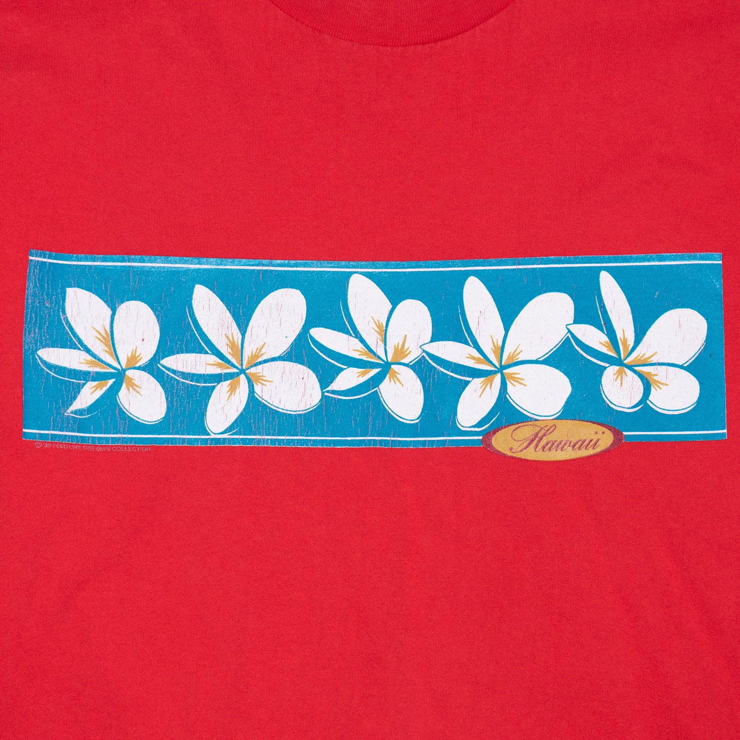Hawaii Souvenir T Shirt, M