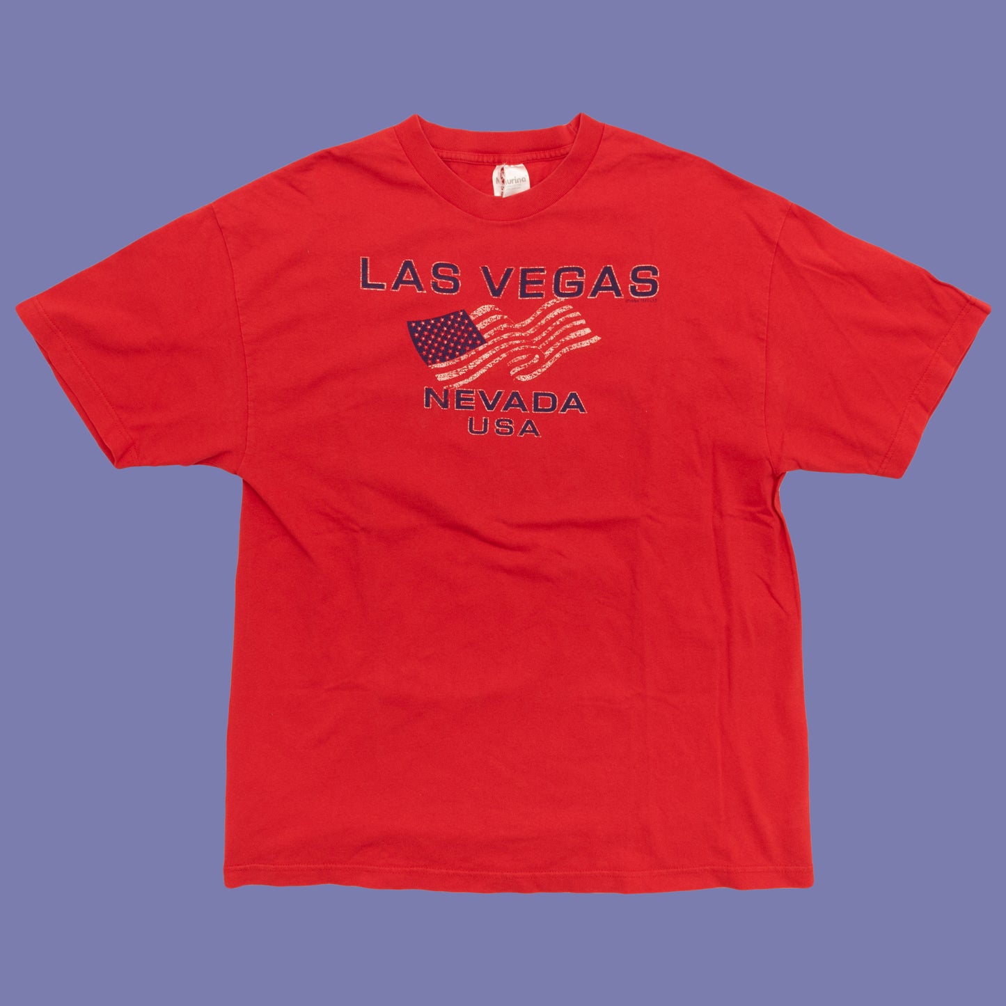 Nevada USA Destination T Shirt, L