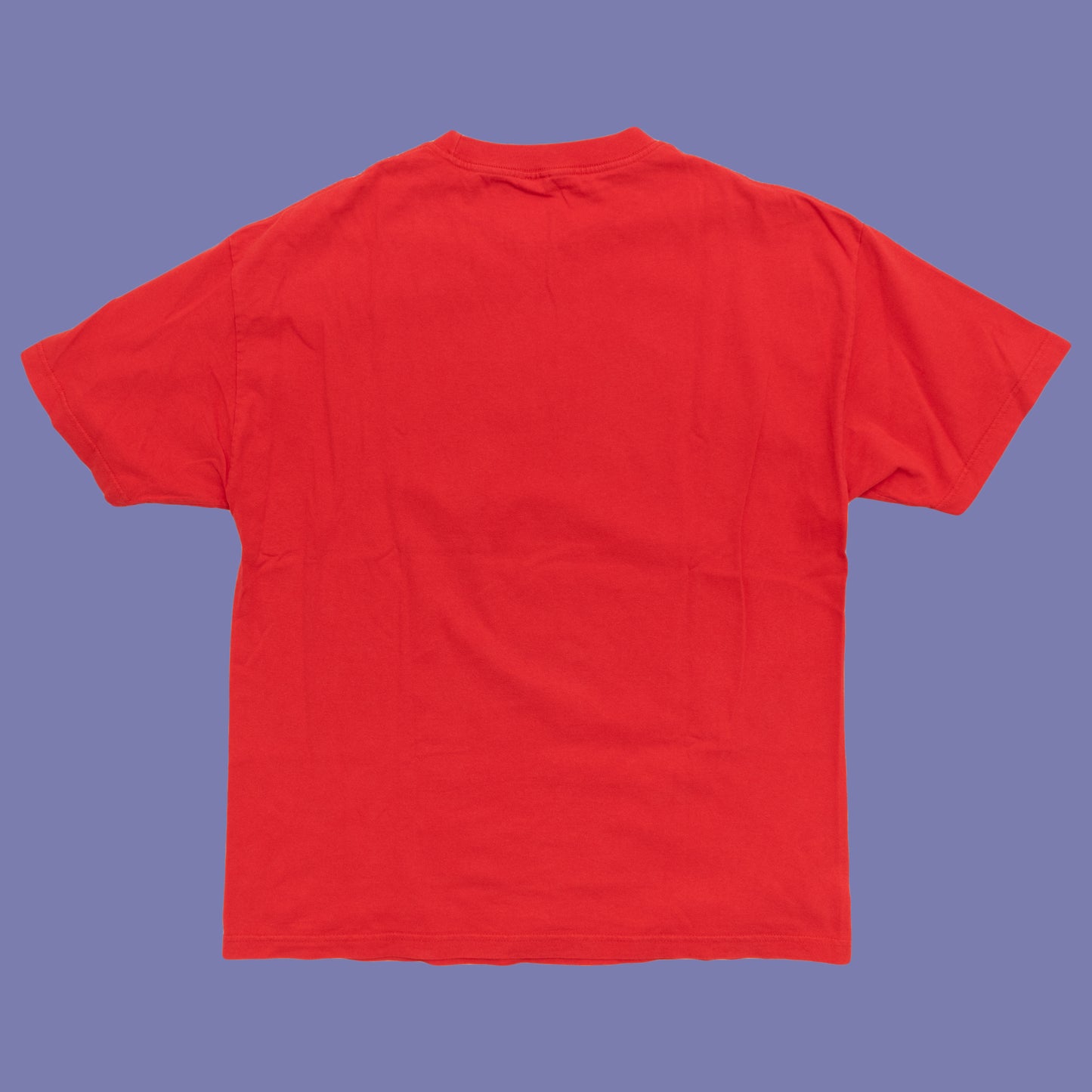 Nevada USA Destination T Shirt, L