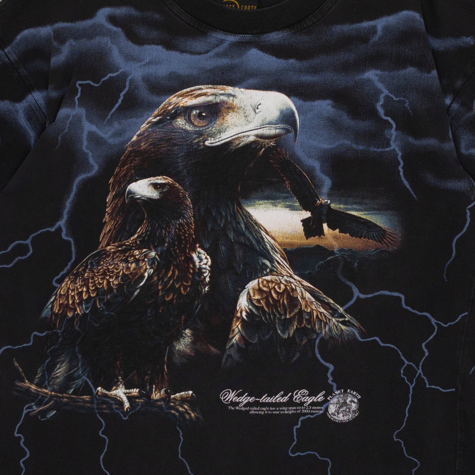 Wedge-Tailed Eagle T Shirt, L