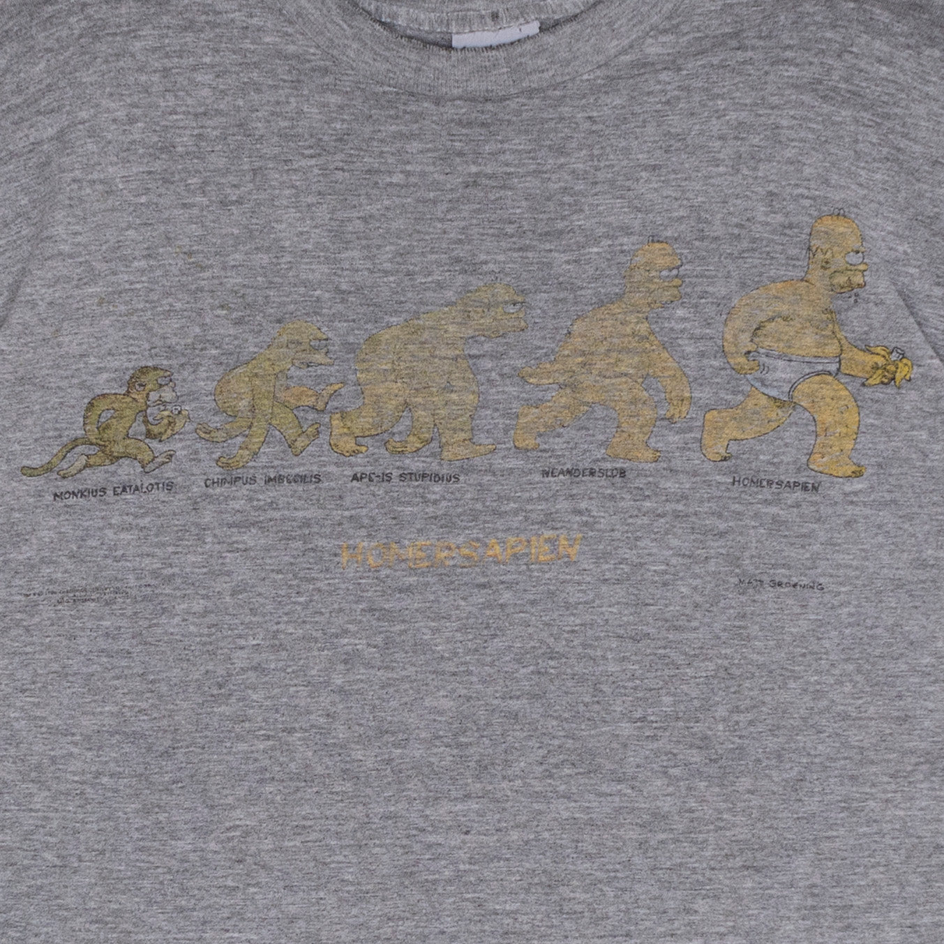Simpsons Evolution T Shirt, XL