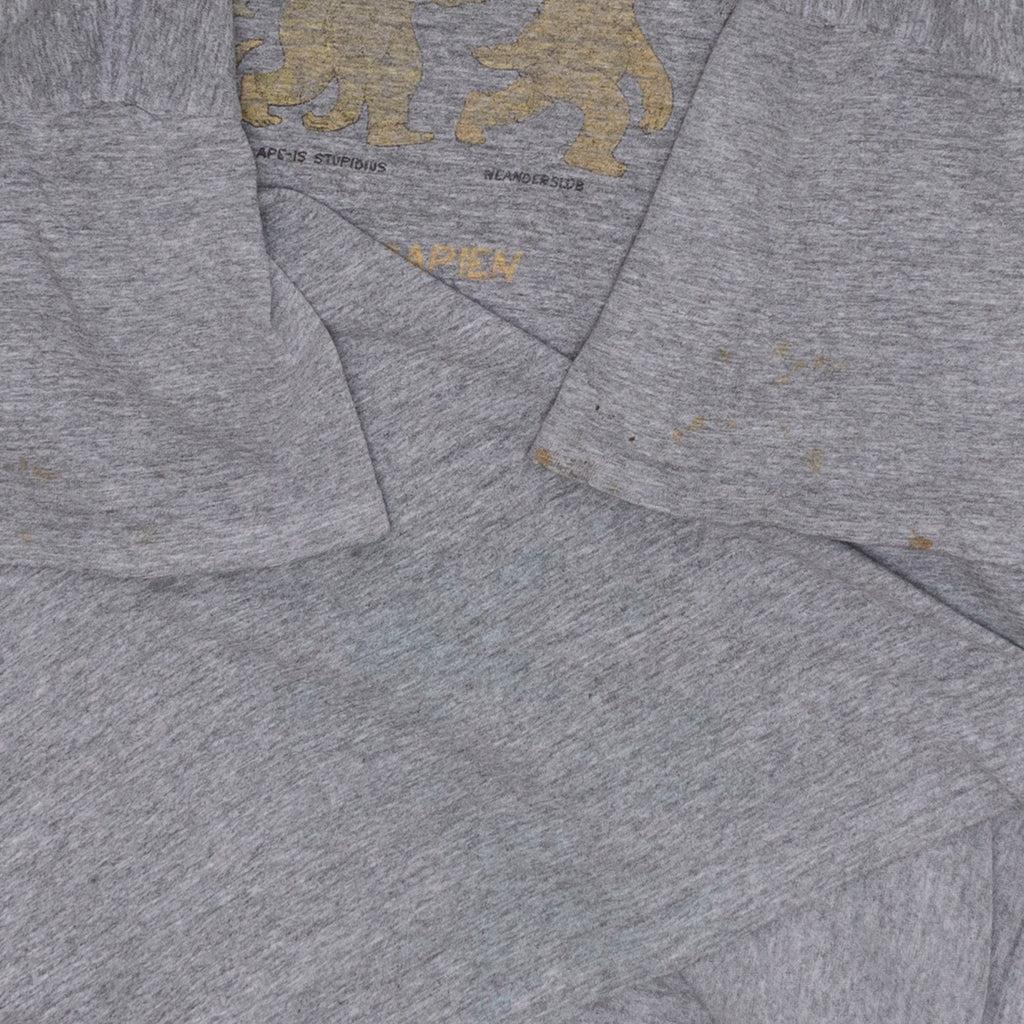 Simpsons Evolution T Shirt, XL