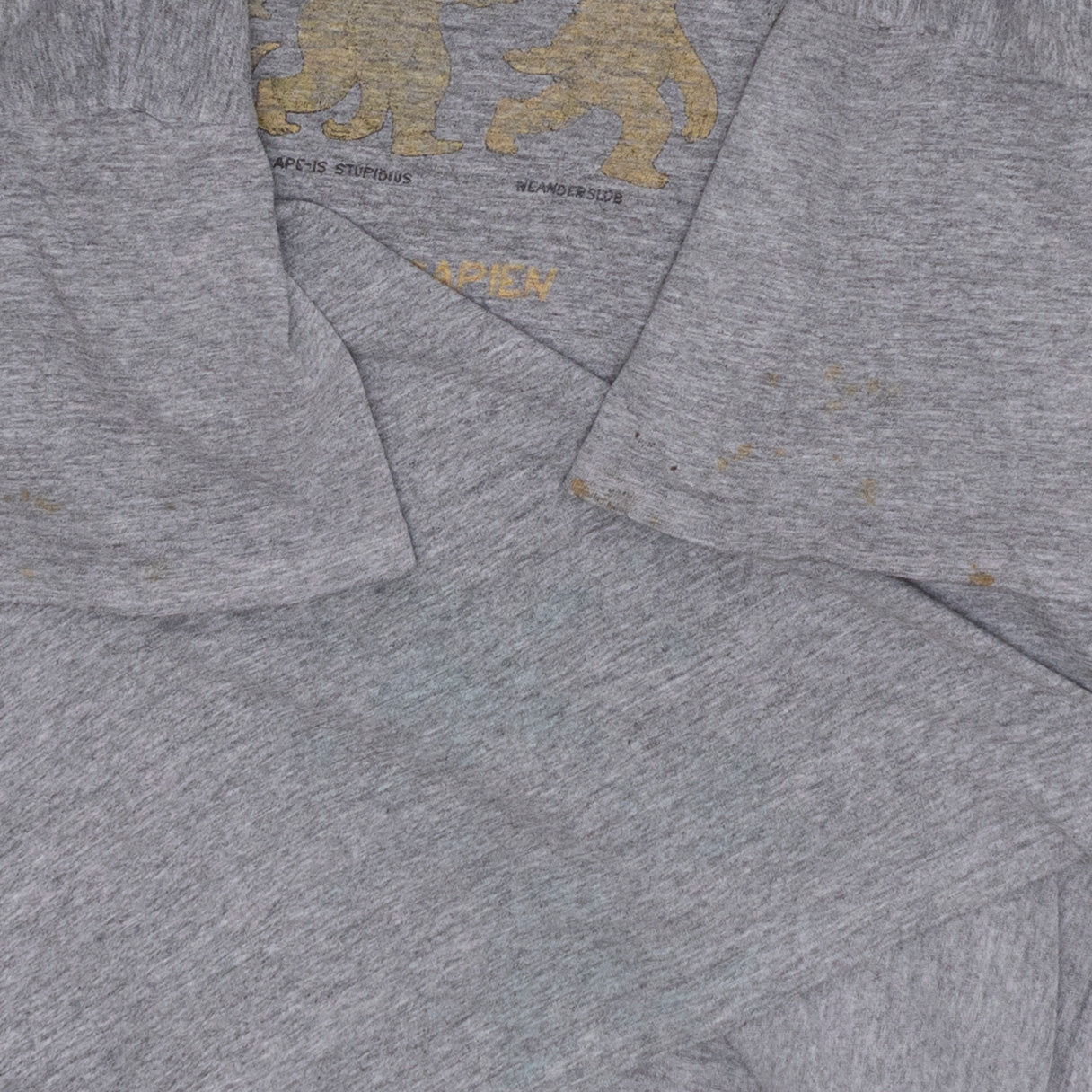 Simpsons Evolution T Shirt, XL