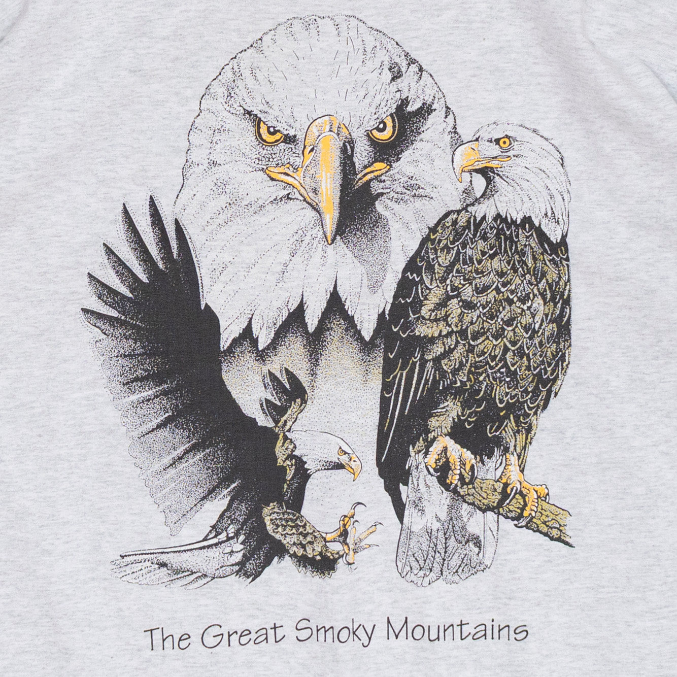 Bald Eagle T Shirt, XL