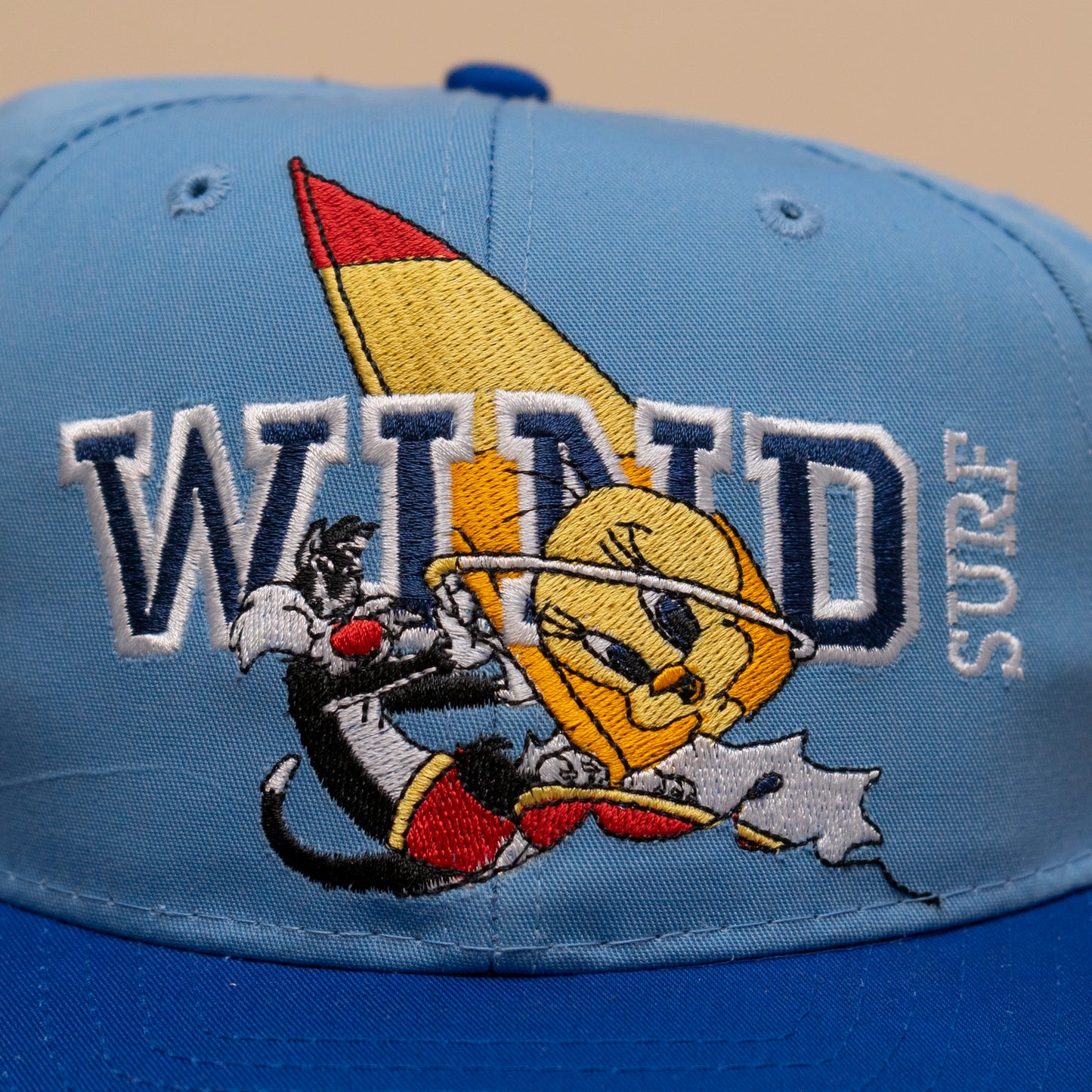 Deadstock Sylvester & Tweety Windsurf Snapback