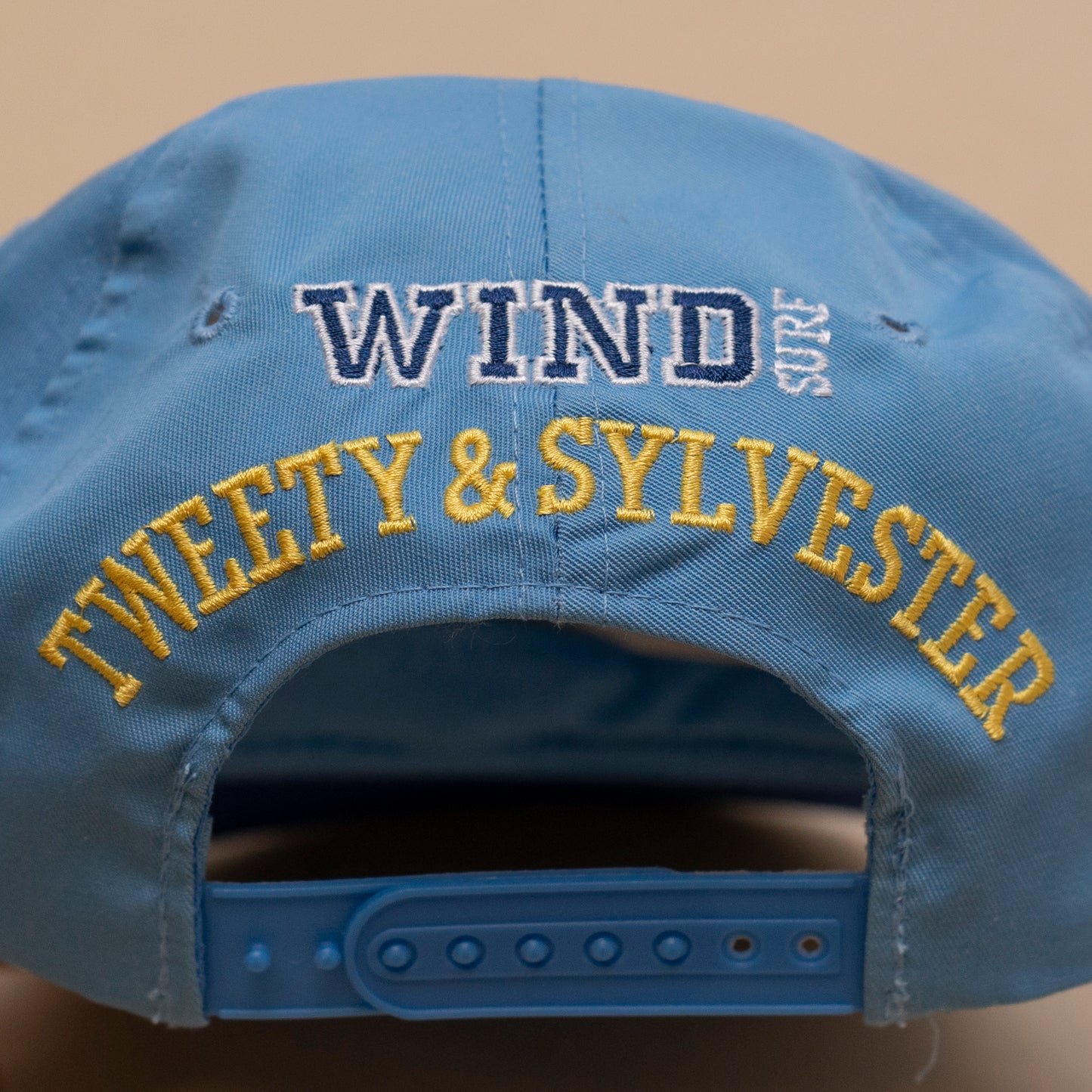 Deadstock Sylvester & Tweety Windsurf Snapback