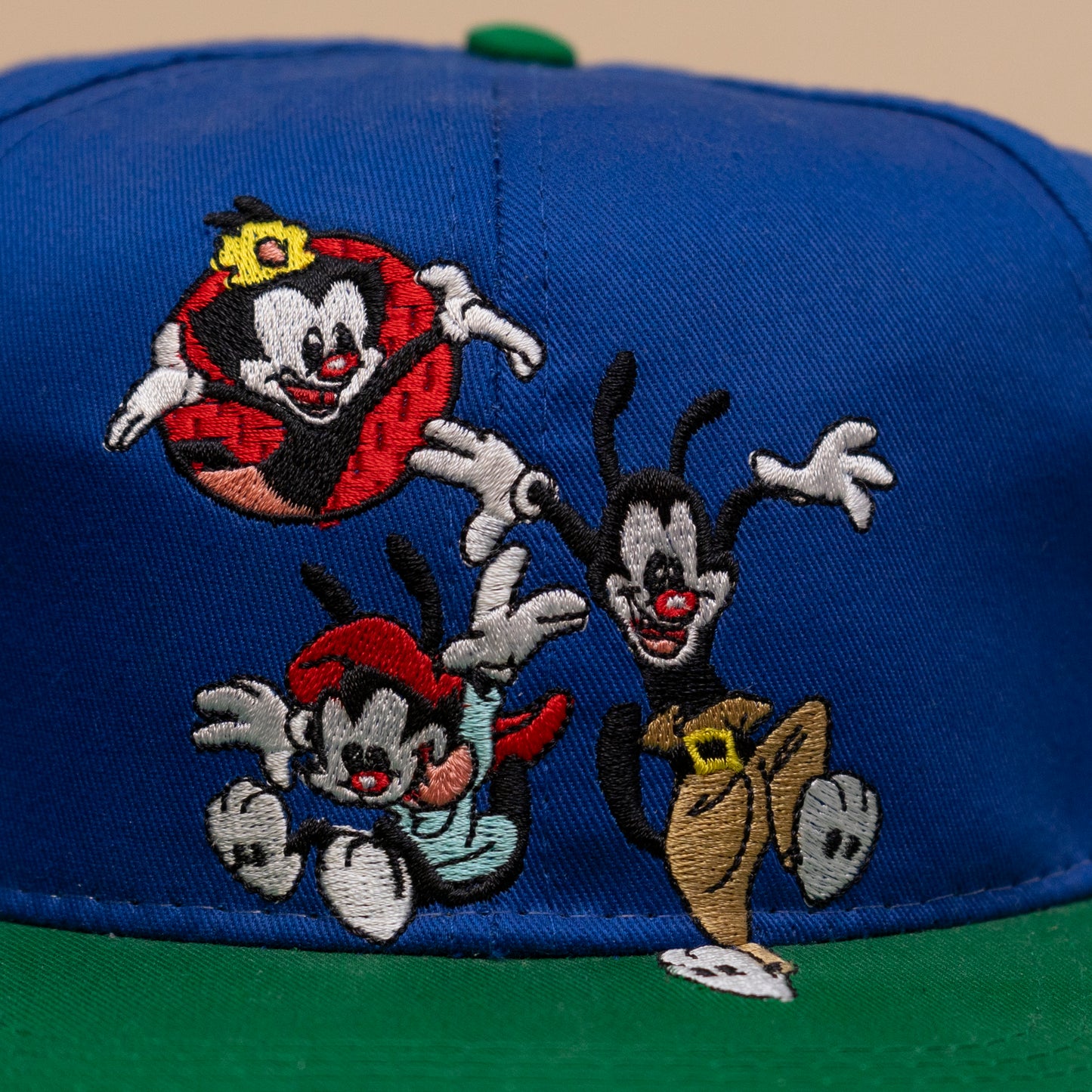 Deadstock Animaniacs Cap