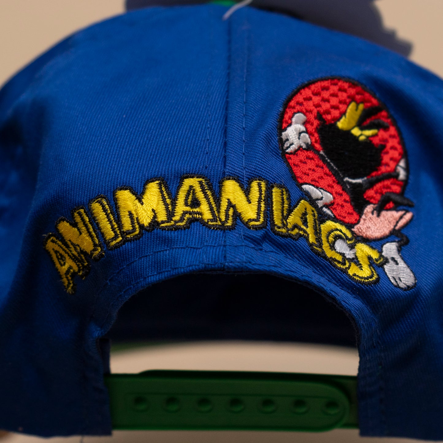 Deadstock Animaniacs Cap