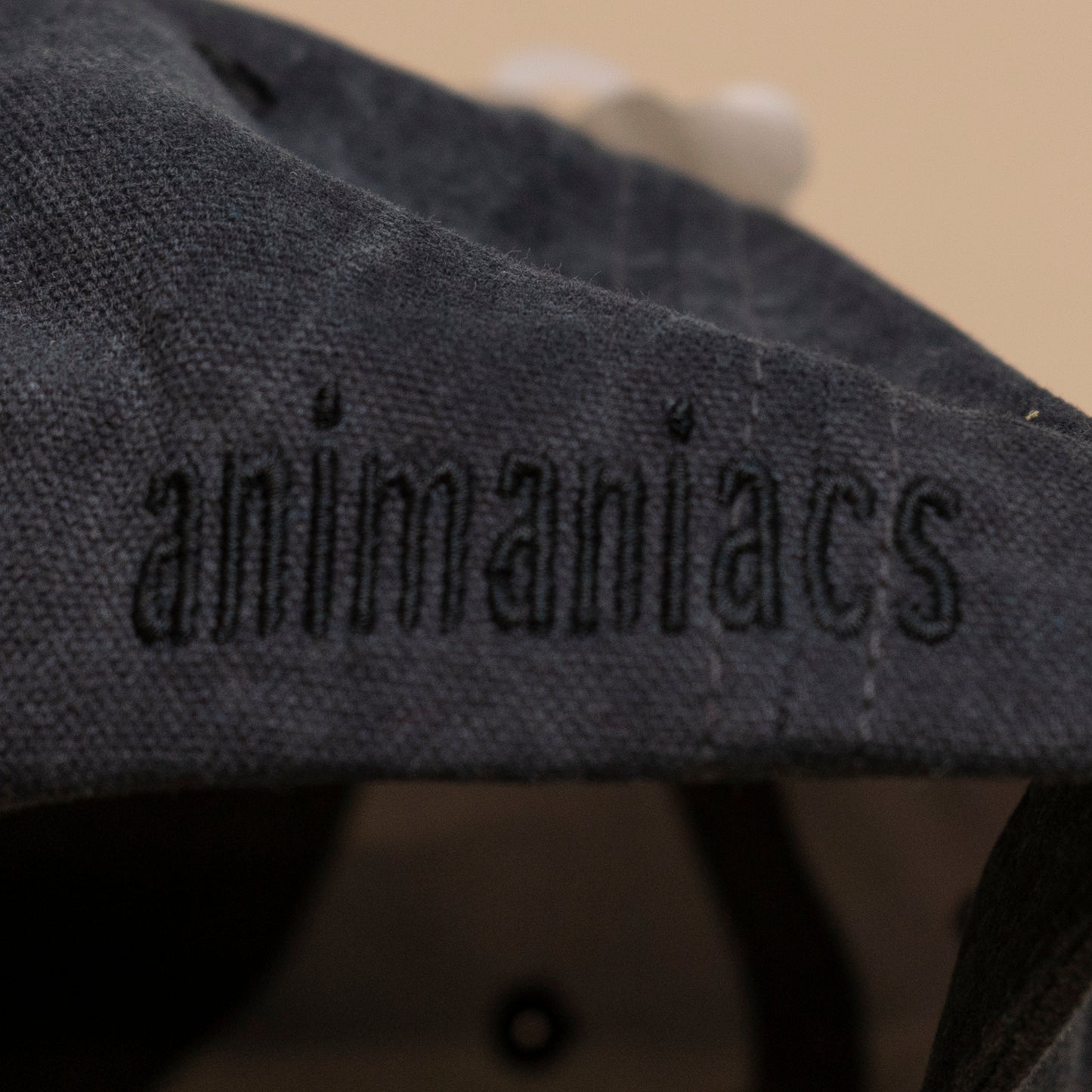 Deadstock Animaniacs Greyscale Snapback