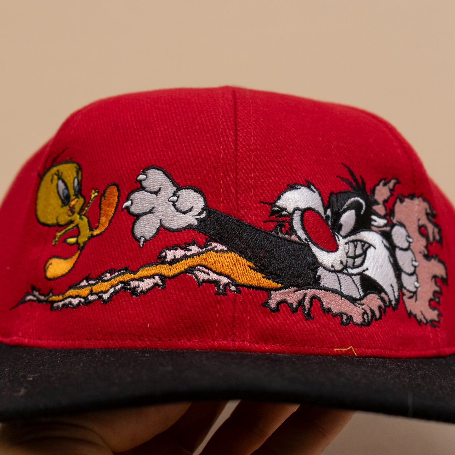 Deadstock Sylvester & Tweety Snapback