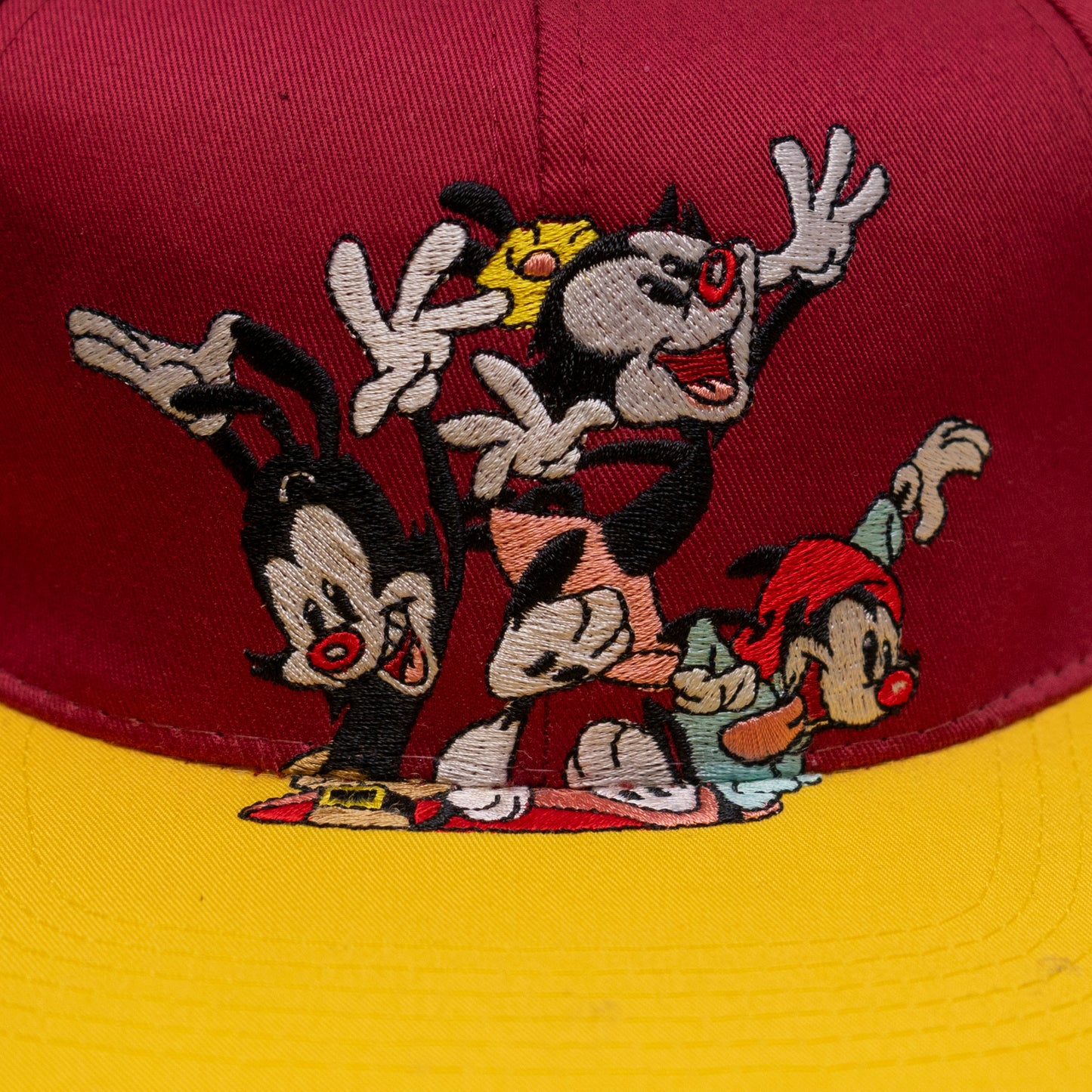 Deadstock Animaniacs Snapback