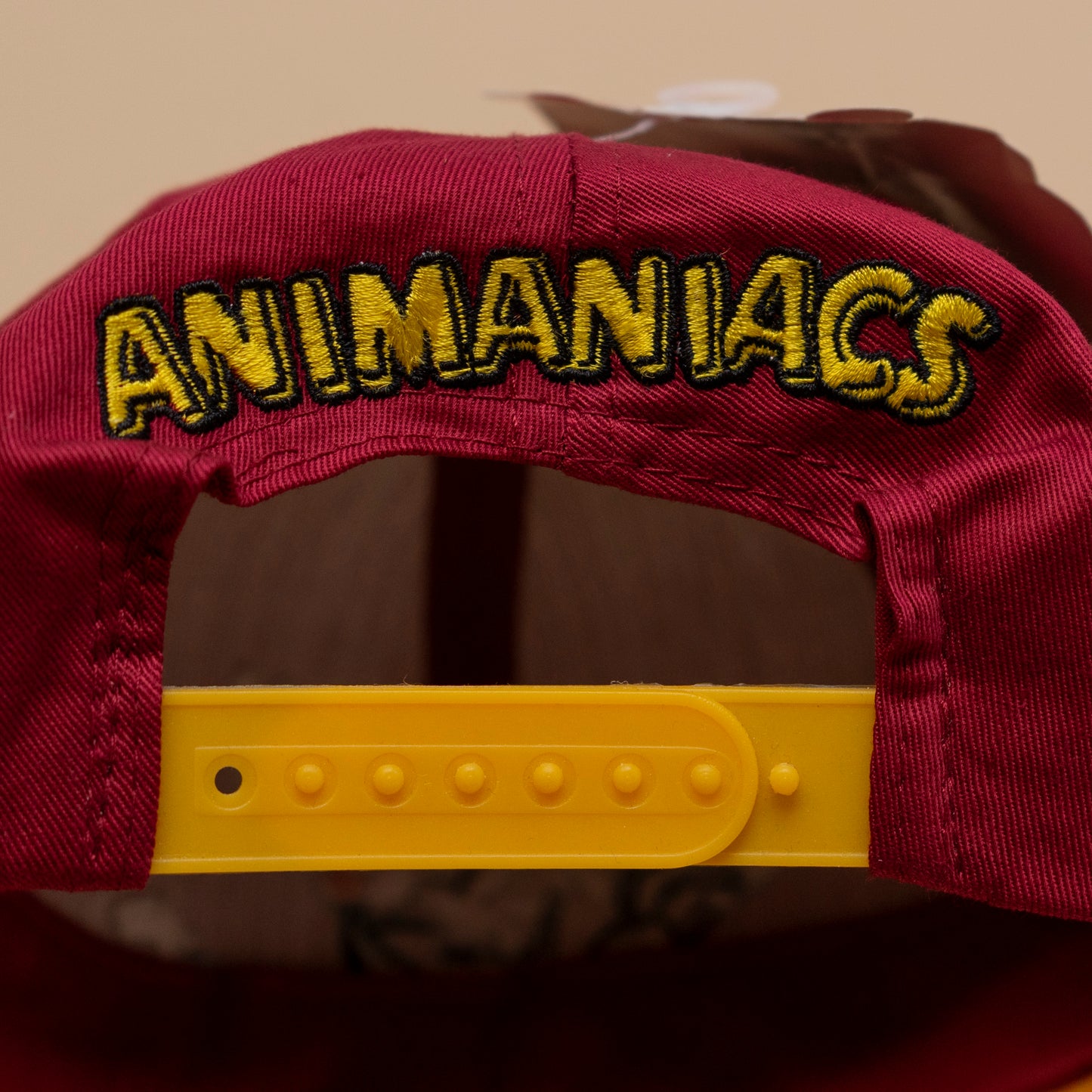 Deadstock Animaniacs Snapback