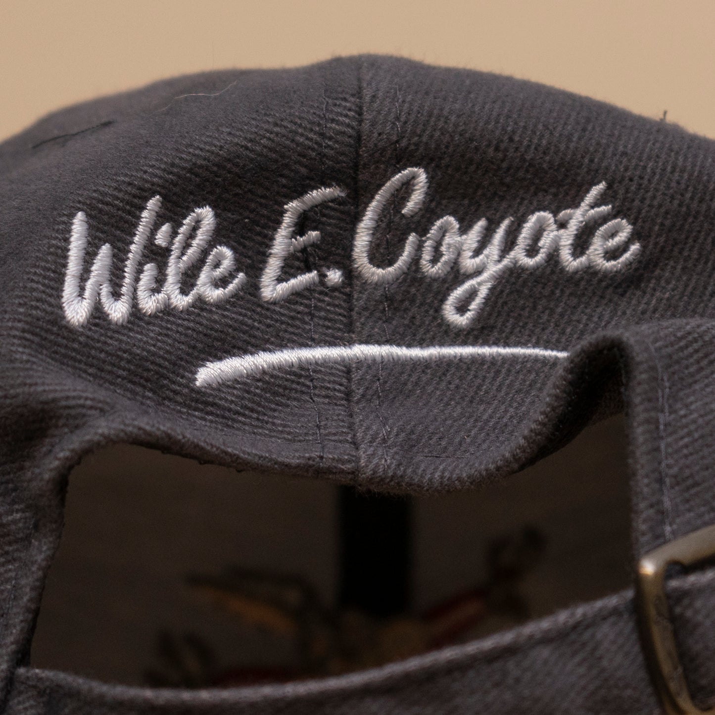 Deadstock Wile E Coyote Snowboard Cap