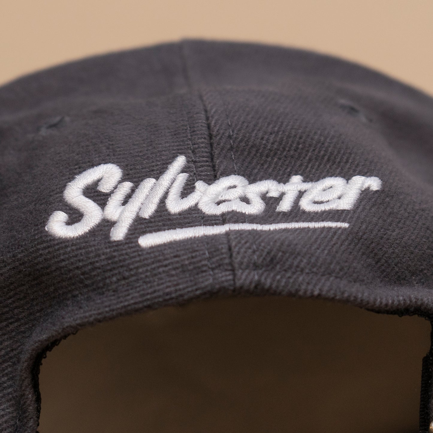 Deadstock Sylvester Snowboard Cap