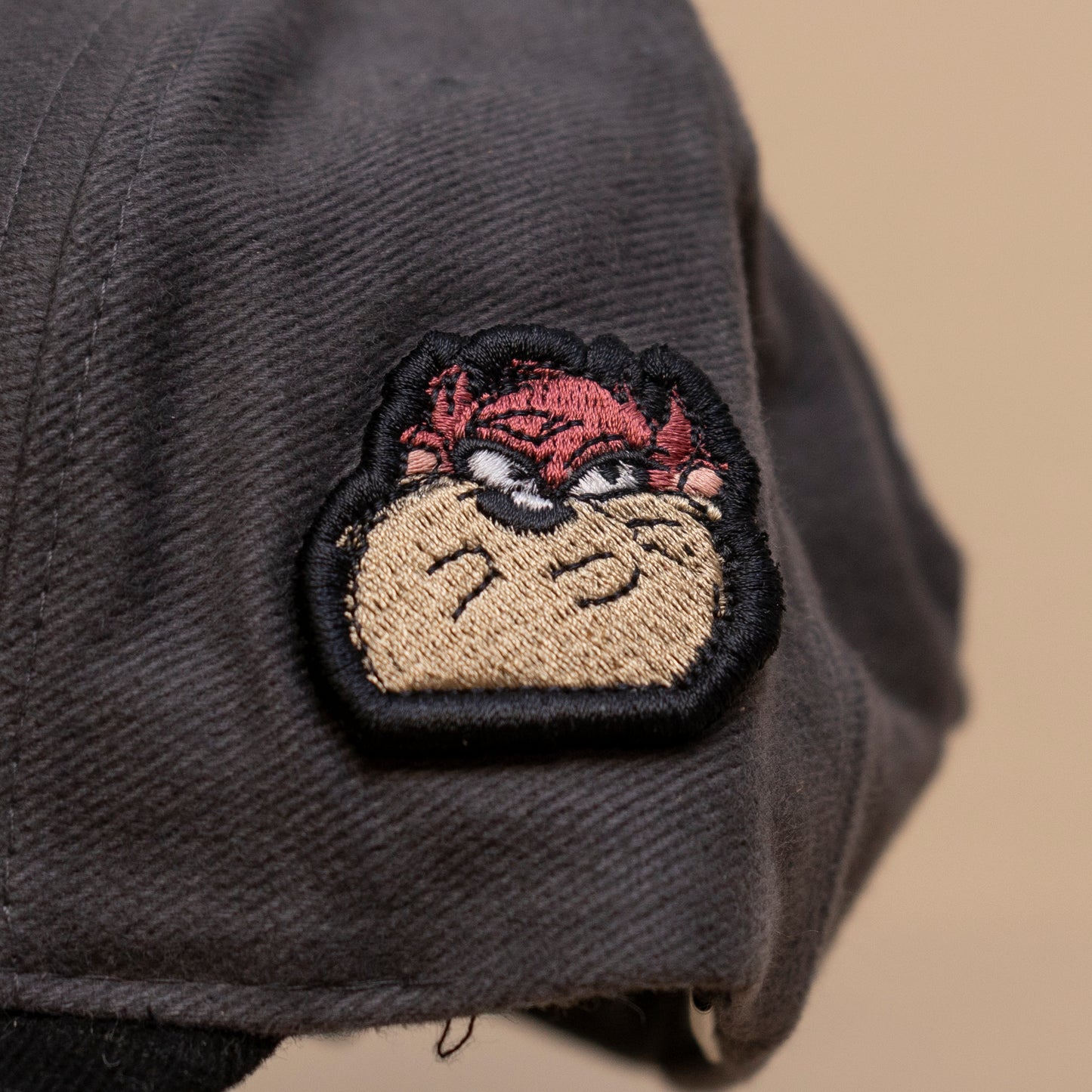 Deadstock Taz Snowboard Cap