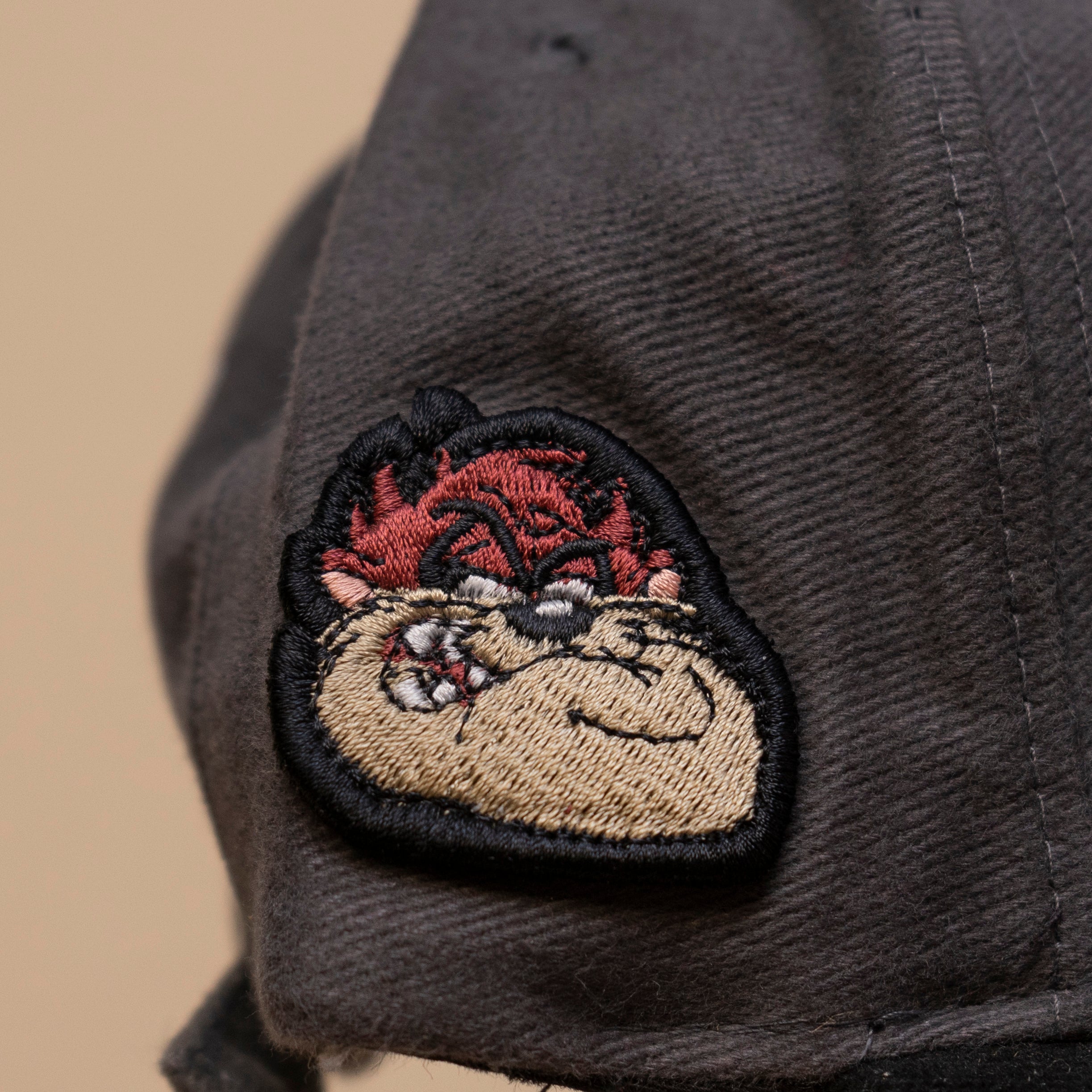Deadstock Taz Snowboard Cap