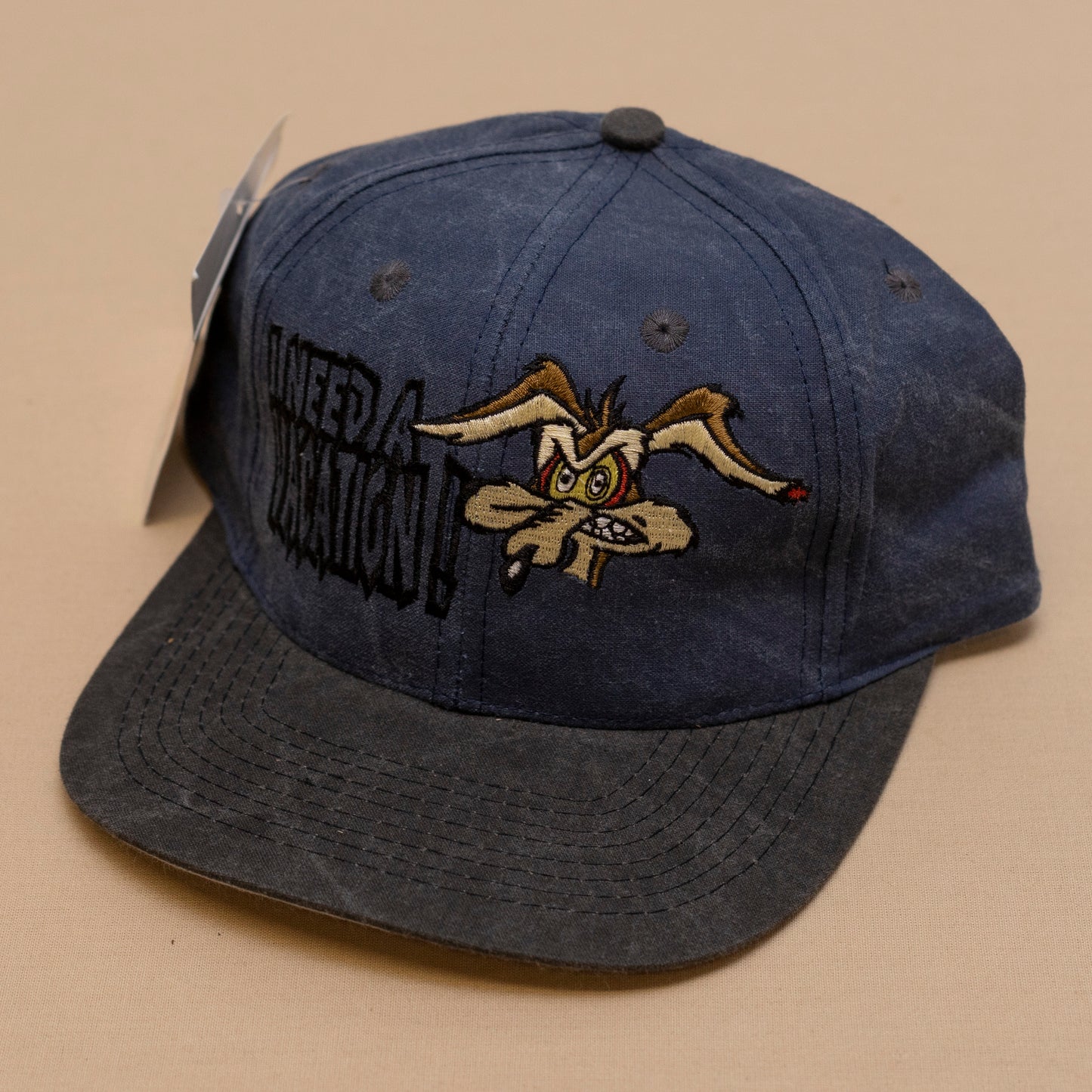 Deadstock Wile E Coyote Vacation Snapback