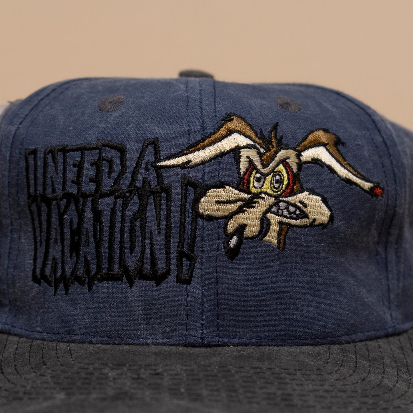 Deadstock Wile E Coyote Vacation Snapback