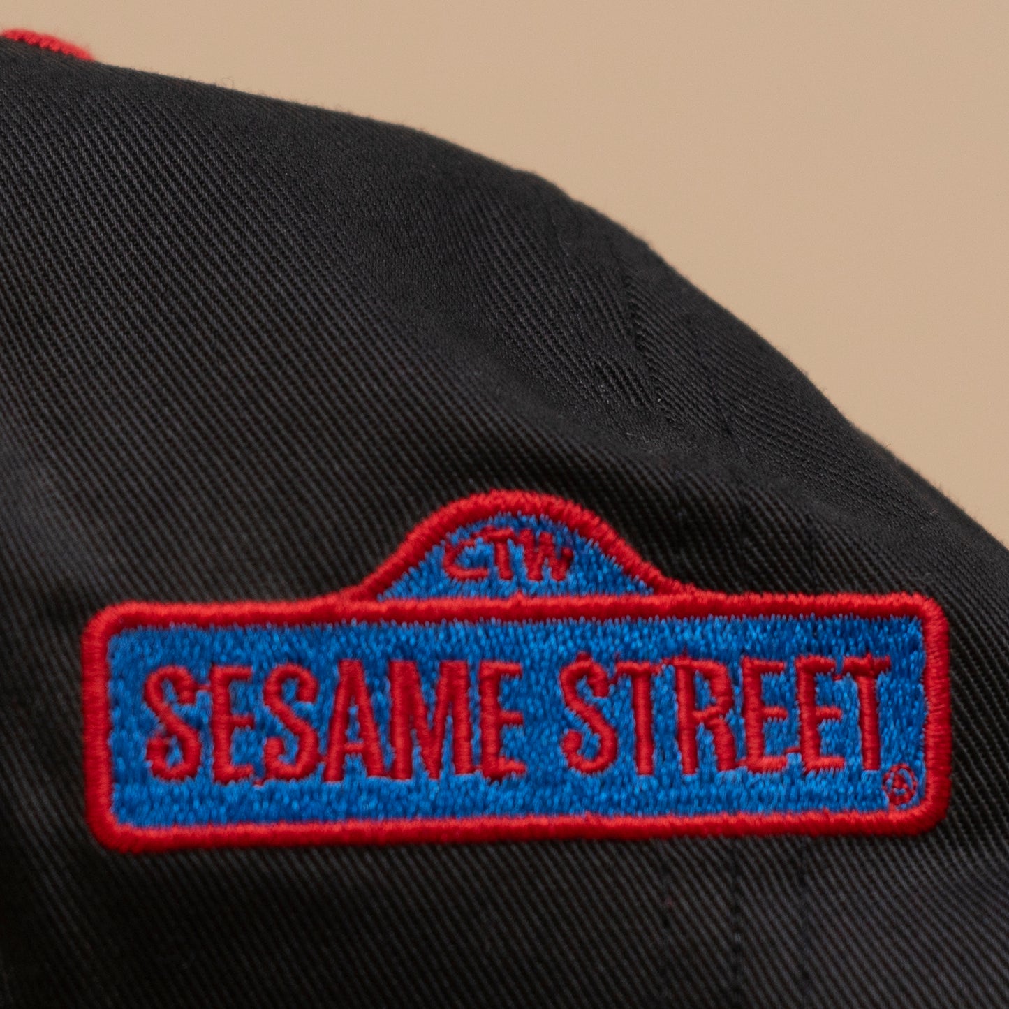 Deadstock Cookie Monster Snapback