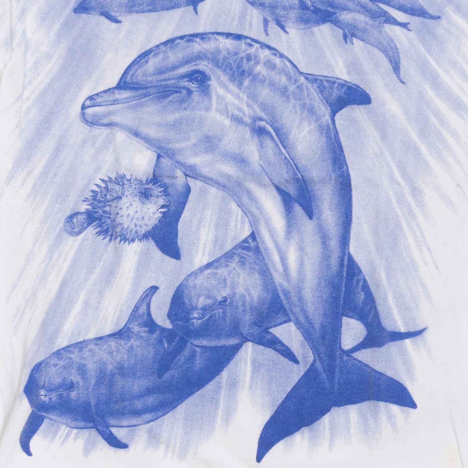Dolphin AOP T Shirt, XL