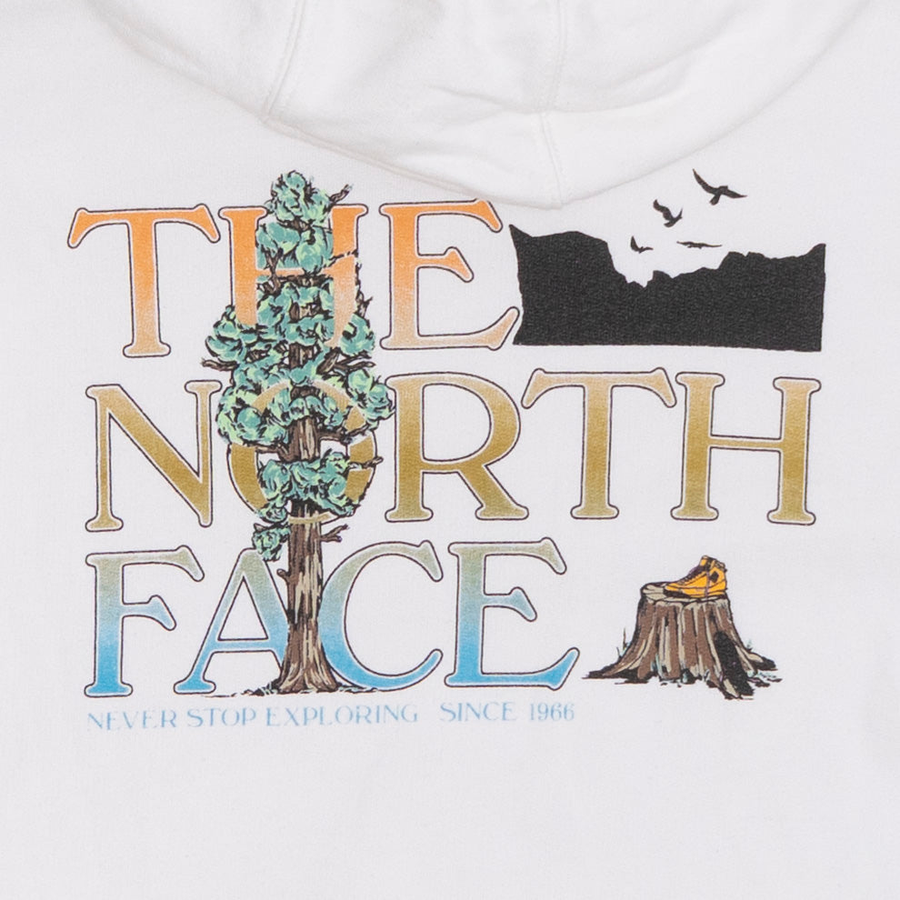 The North Face Hoodie, M