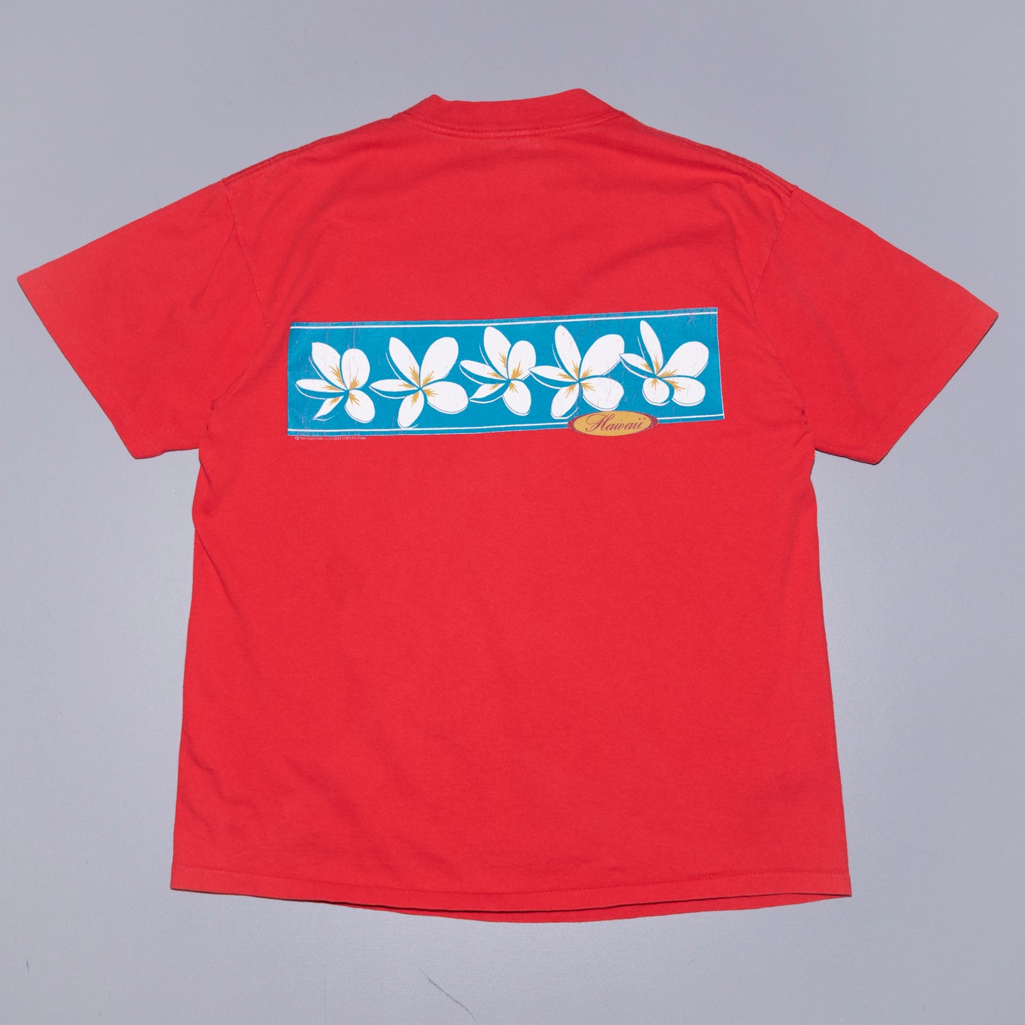 Hawaii Souvenir T Shirt, M