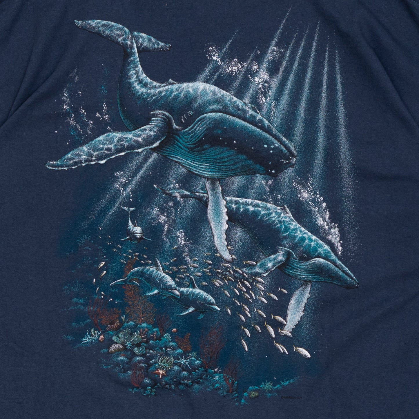 Deadstock Whale Watch T Shirt, XXL