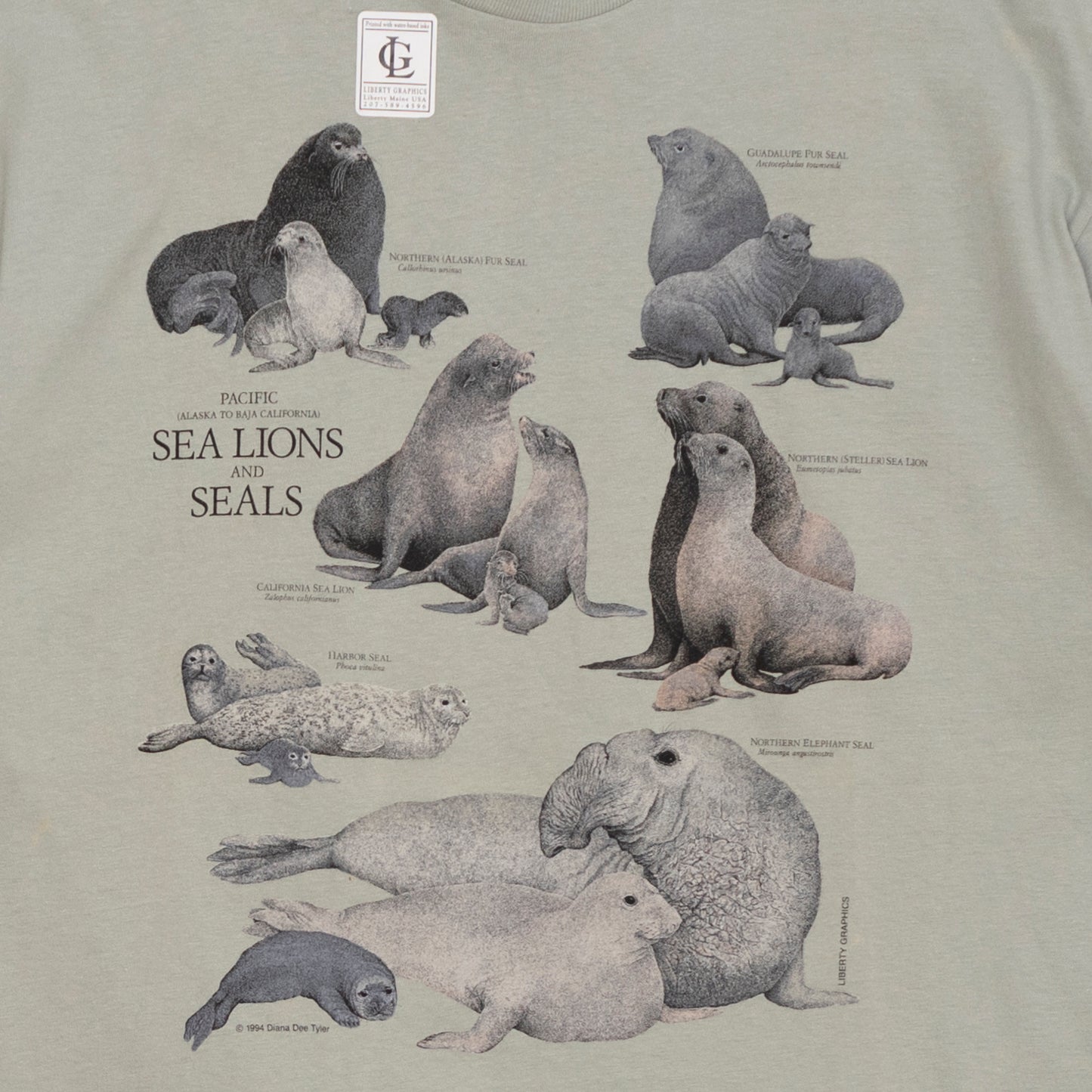 Deadstock Sea Lions & Seals T Shirt, L