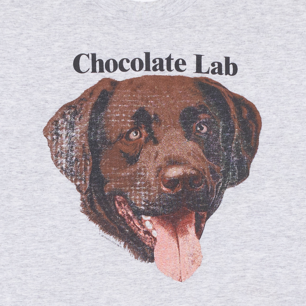 Chocolate Lab T Shirt, L