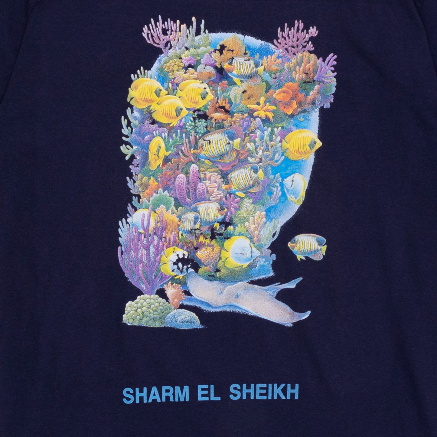 Iguana Coral Reef T Shirt, M-L